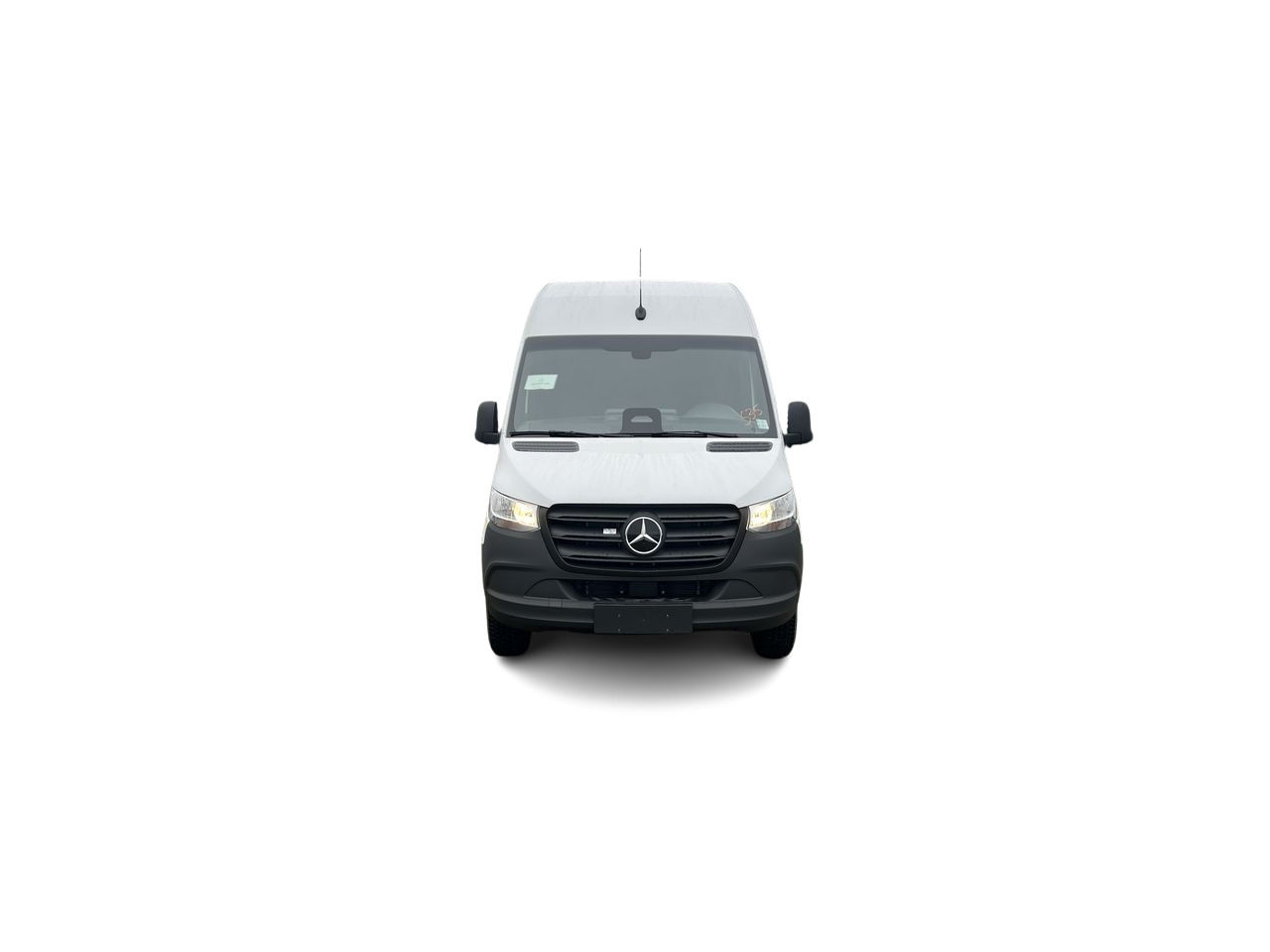 2025 Mercedes-Benz ESprinter in Langley, British Columbia