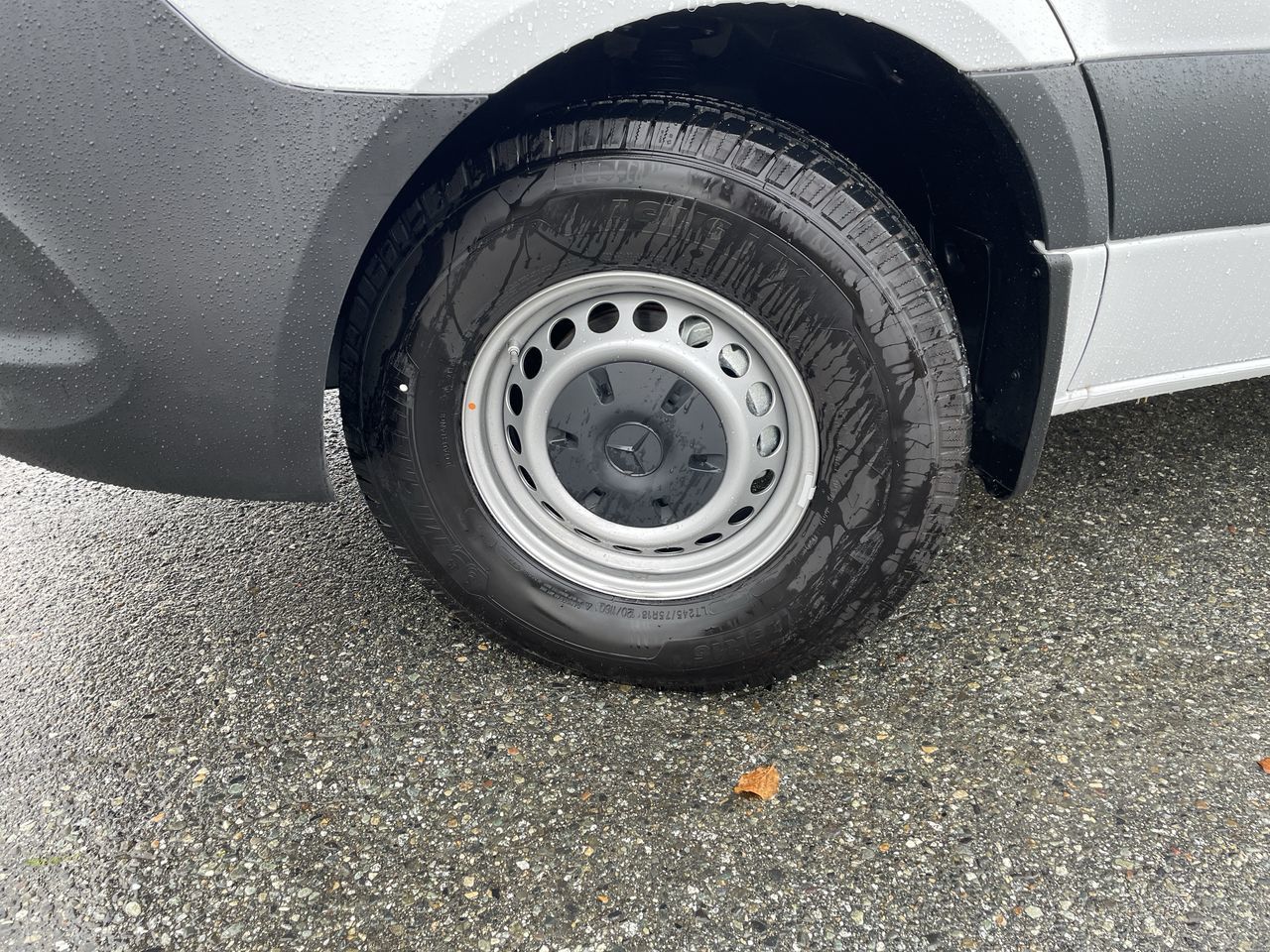 2025 Mercedes-Benz ESprinter in Langley, British Columbia