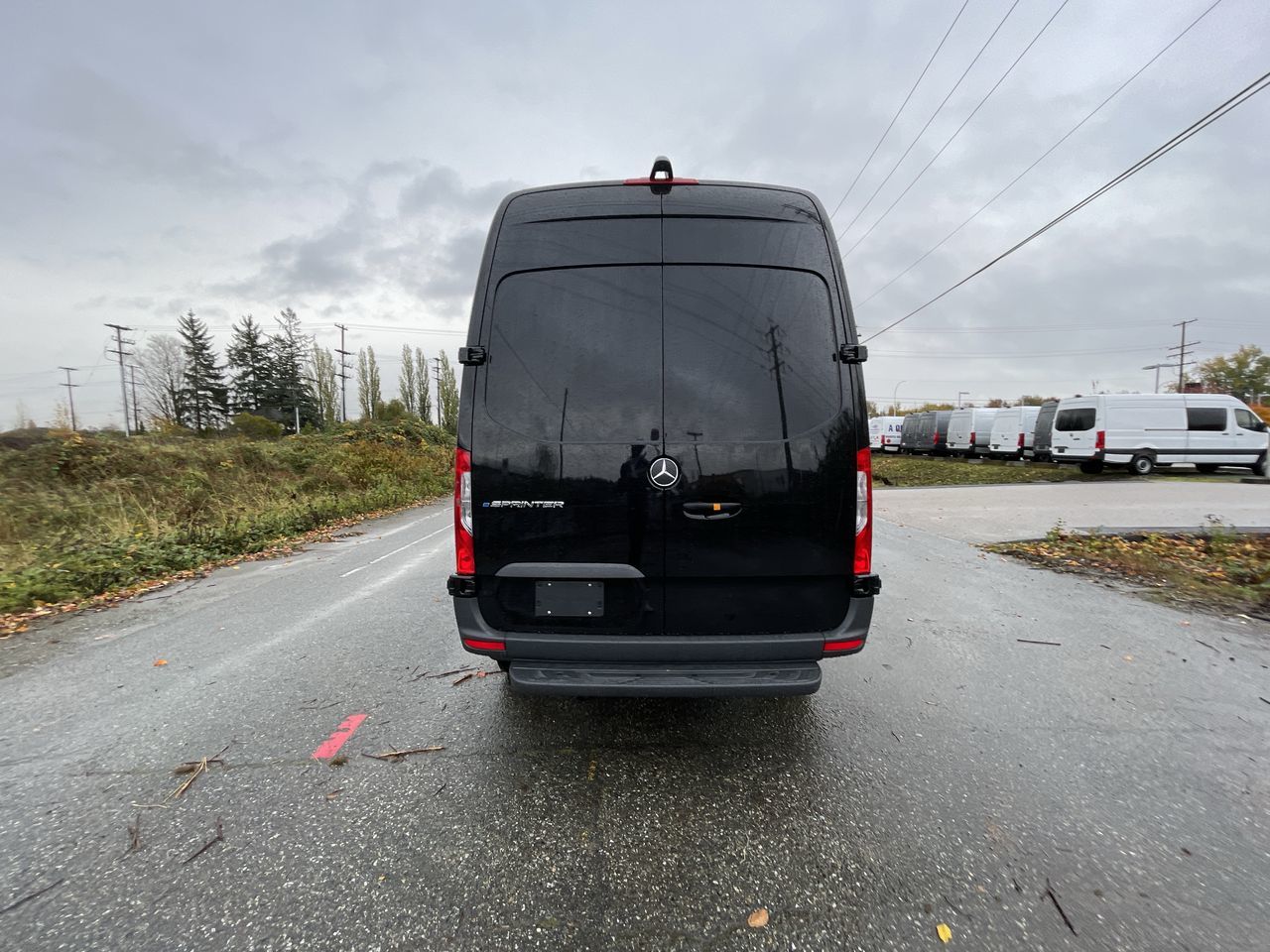 2025 Mercedes-Benz ESprinter in Langley, British Columbia