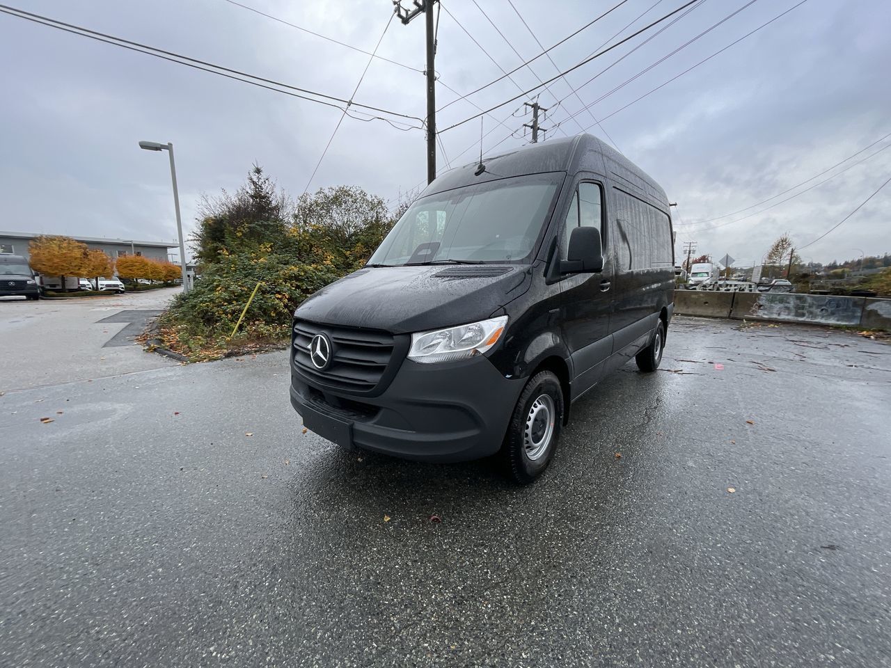 2025 Mercedes-Benz ESprinter in Langley, British Columbia