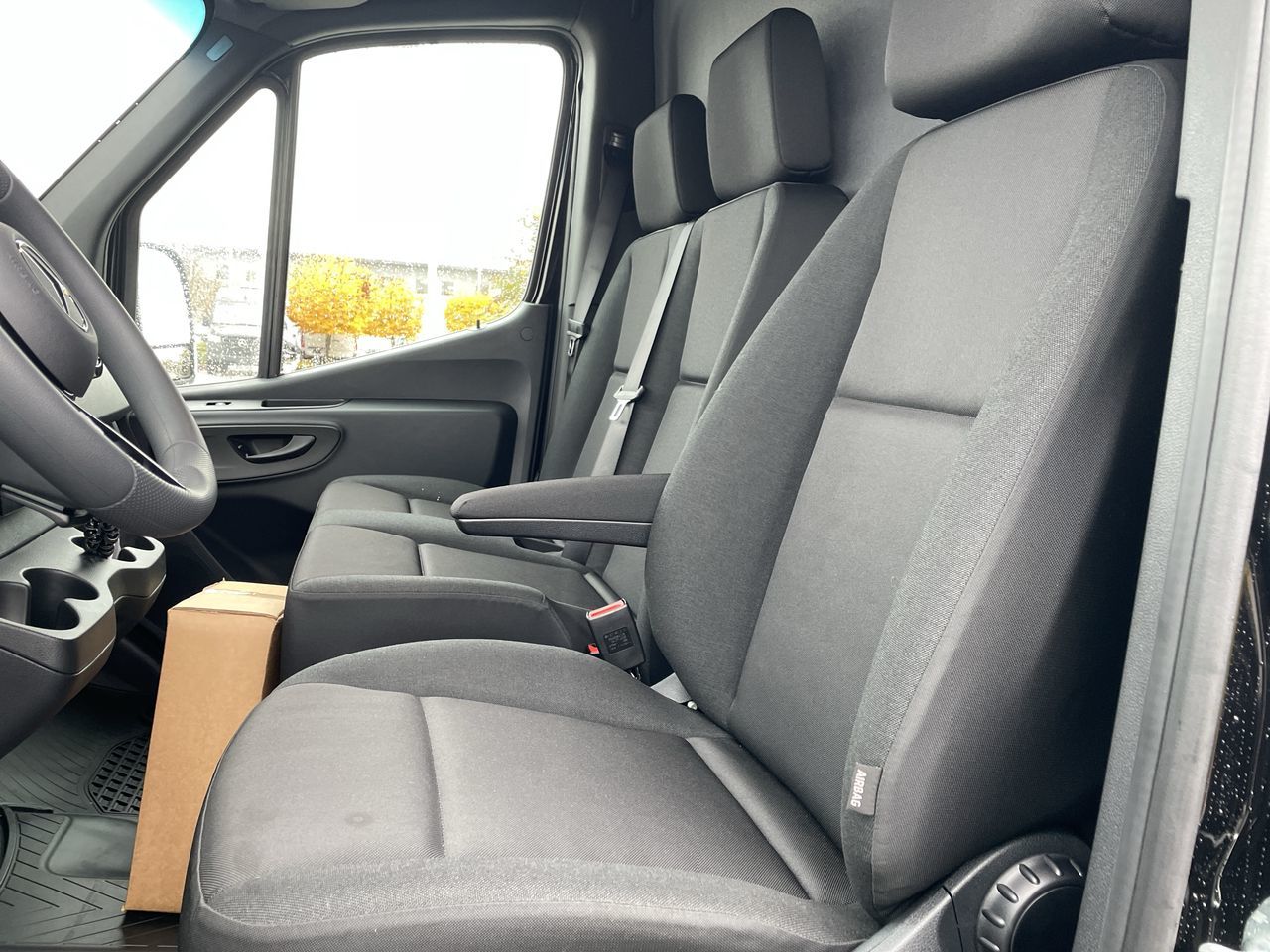 2025 Mercedes-Benz ESprinter in Langley, British Columbia