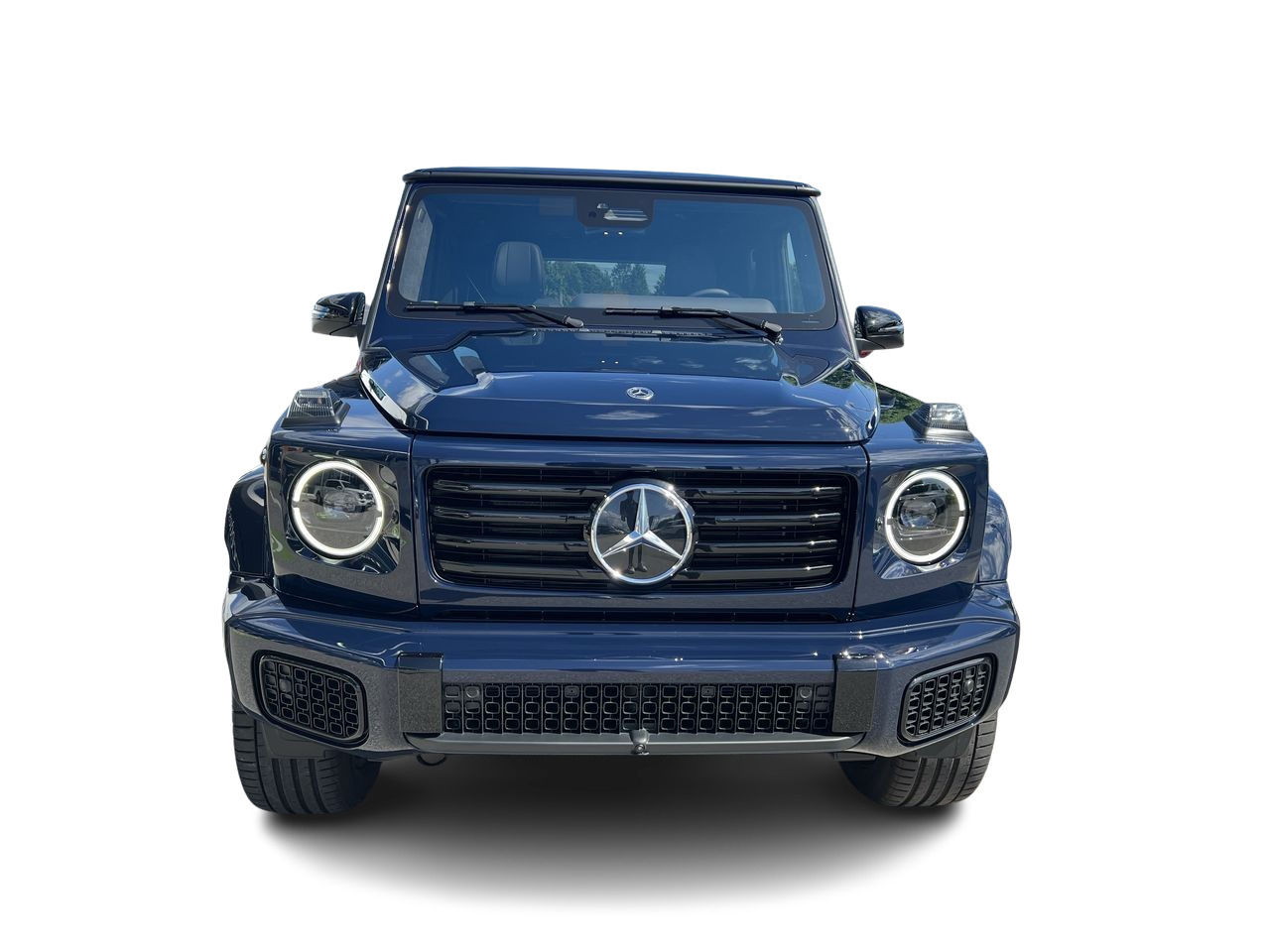 2025 Mercedes-Benz G-Class EV in Langley, British Columbia