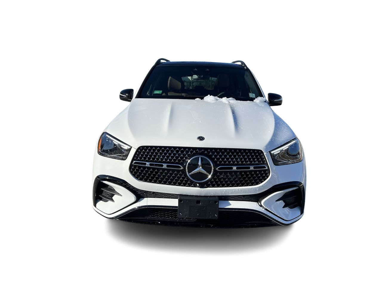 2025 Mercedes-Benz GLE Plug-in-Hybrid in Langley, British Columbia
