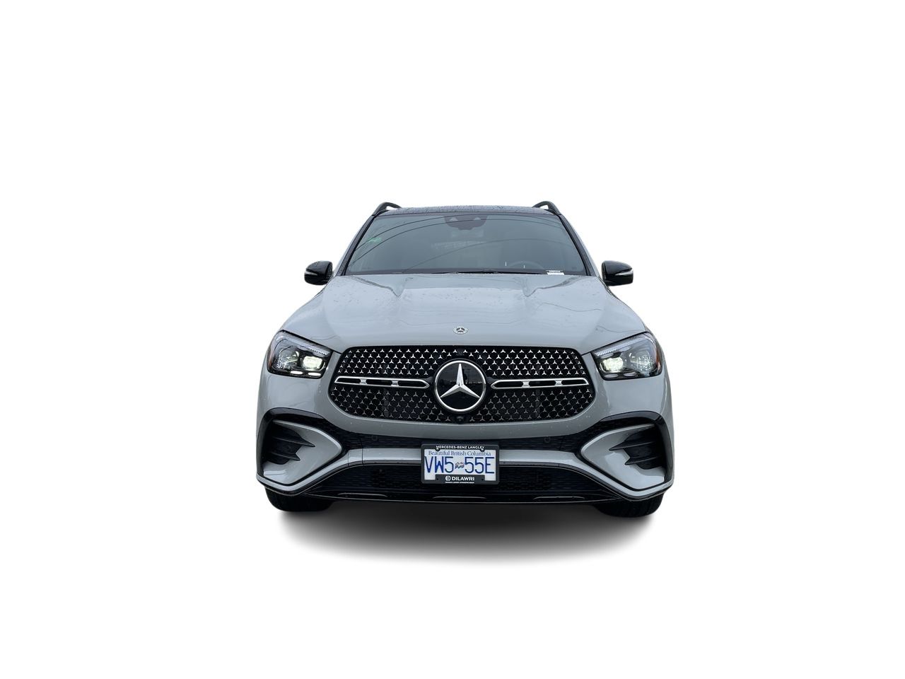 2025 Mercedes-Benz GLE Plug-in Hybrid in Langley, British Columbia