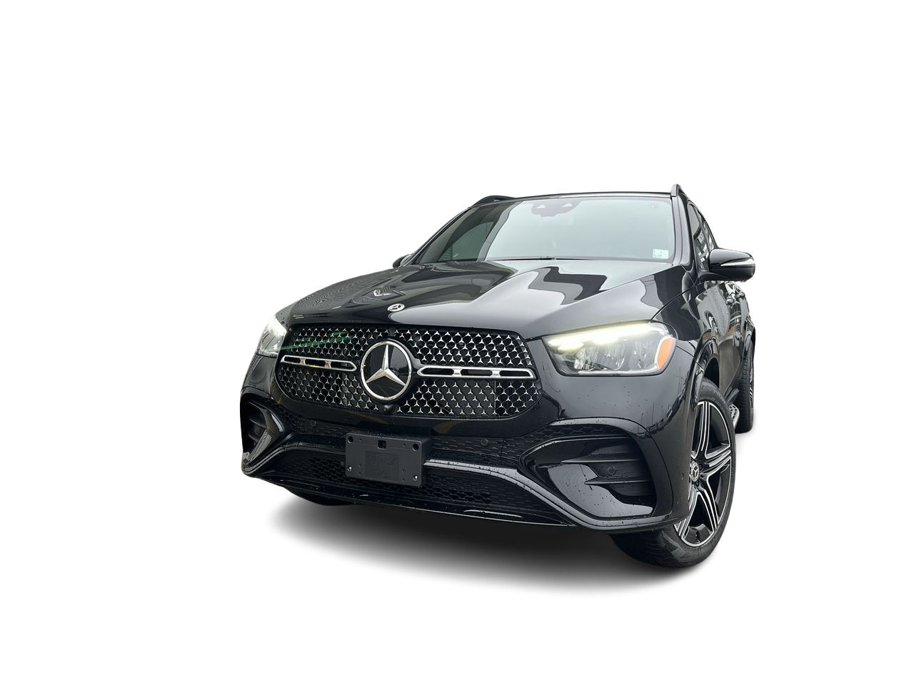 2025 Mercedes-Benz GLE in Langley, British Columbia