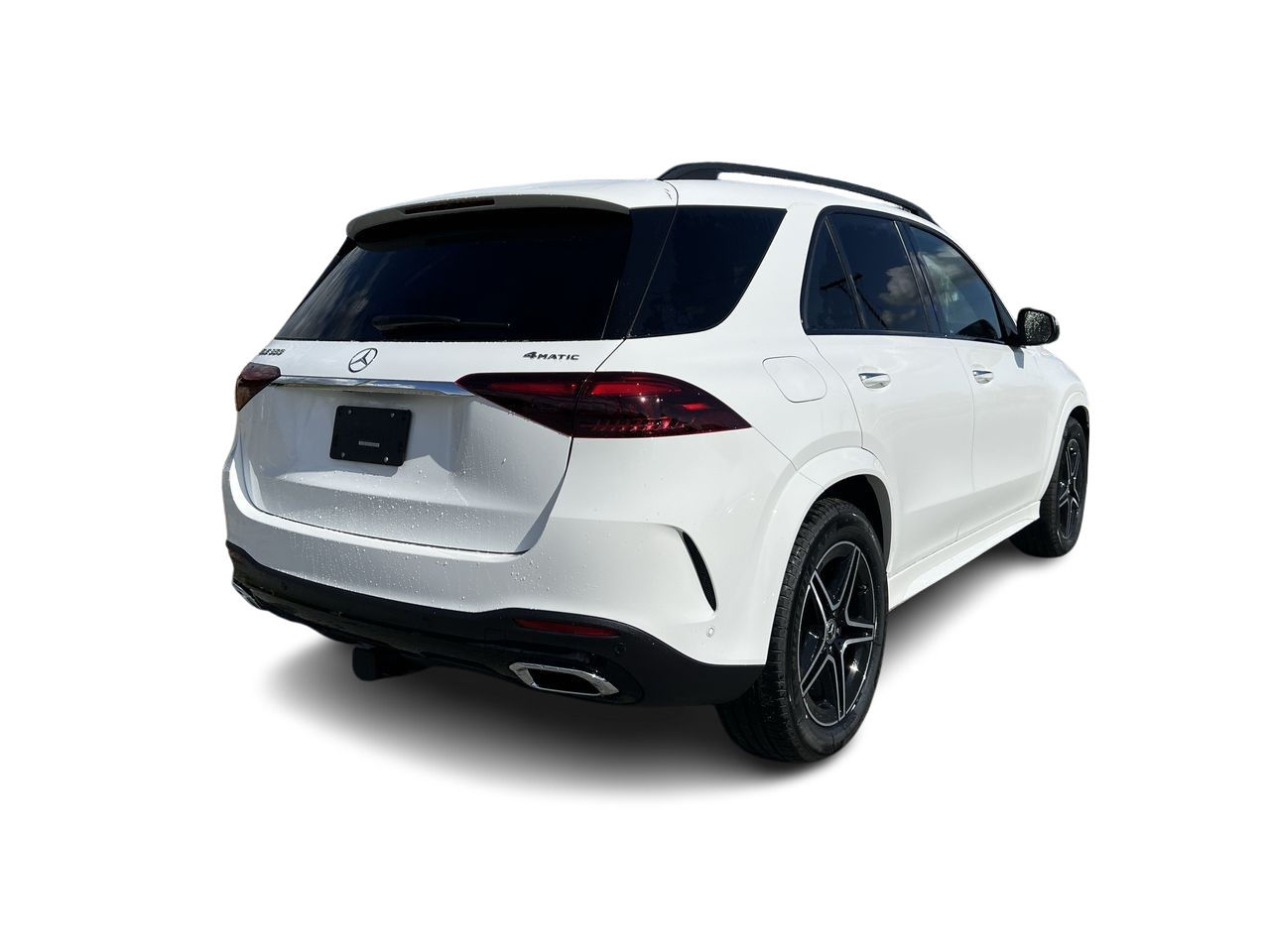 2025 Mercedes-Benz GLE in Langley, British Columbia