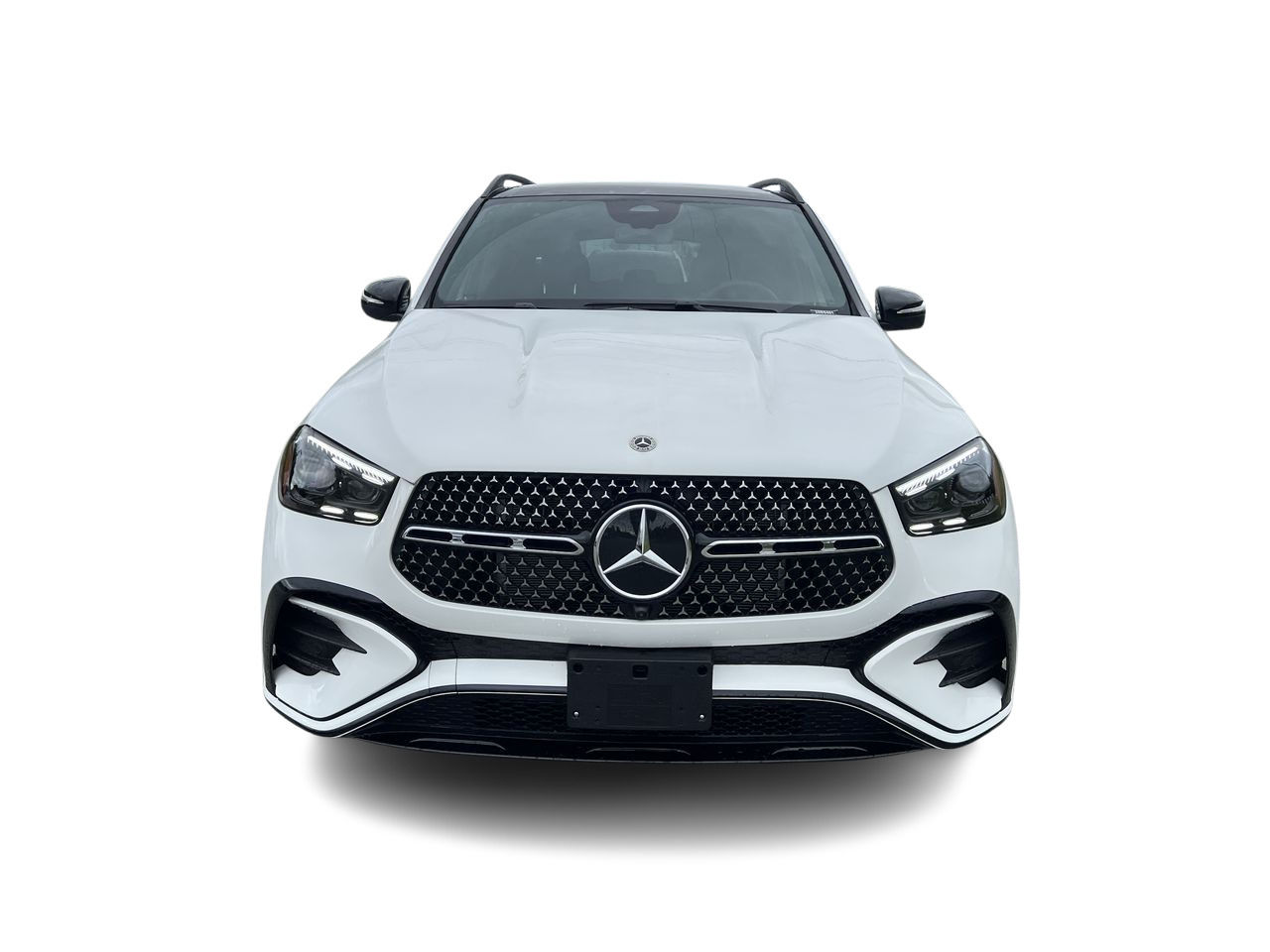 2025 Mercedes-Benz GLE in Langley, British Columbia
