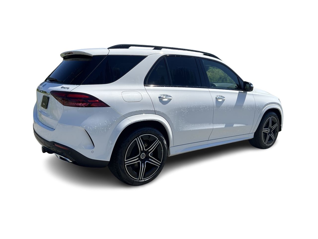 2025 Mercedes-Benz GLE in Langley, British Columbia