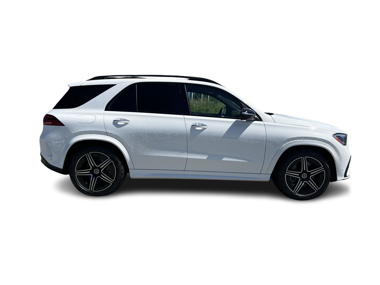 2025 Mercedes-Benz GLE in Langley, British Columbia