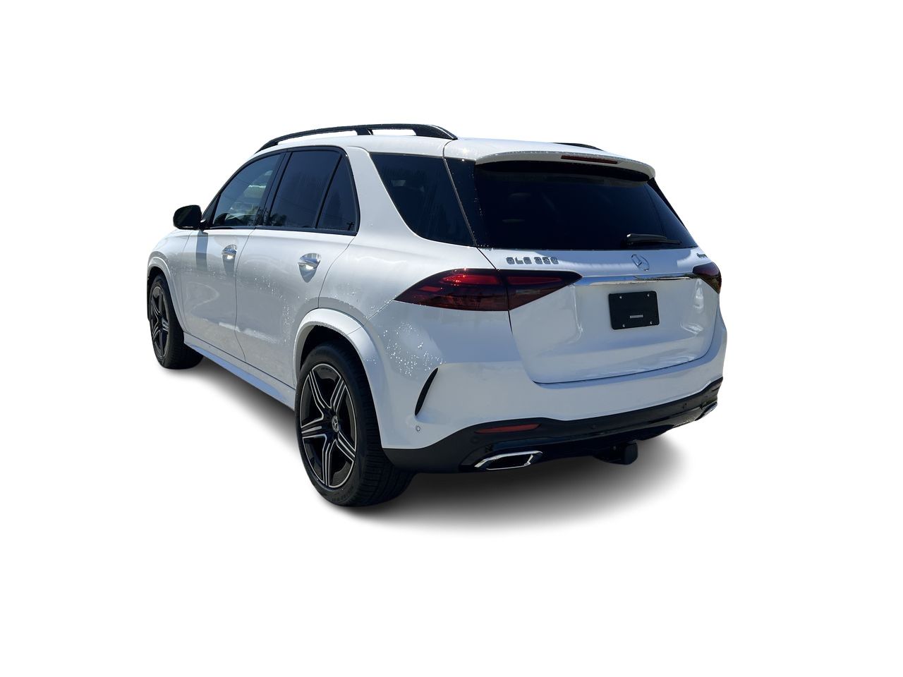 2025 Mercedes-Benz GLE in Langley, British Columbia