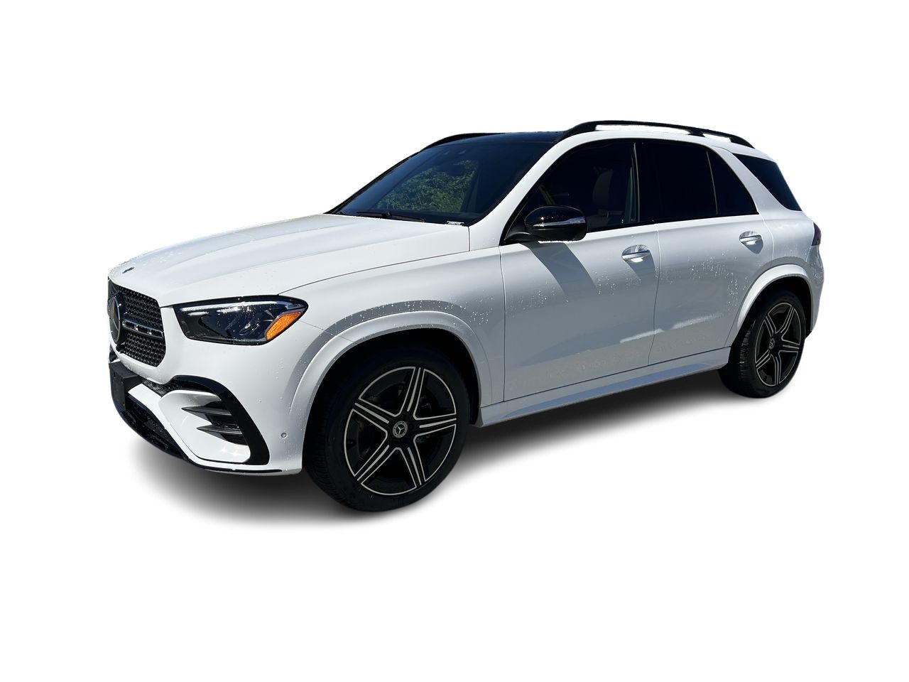 2025 Mercedes-Benz GLE in Langley, British Columbia