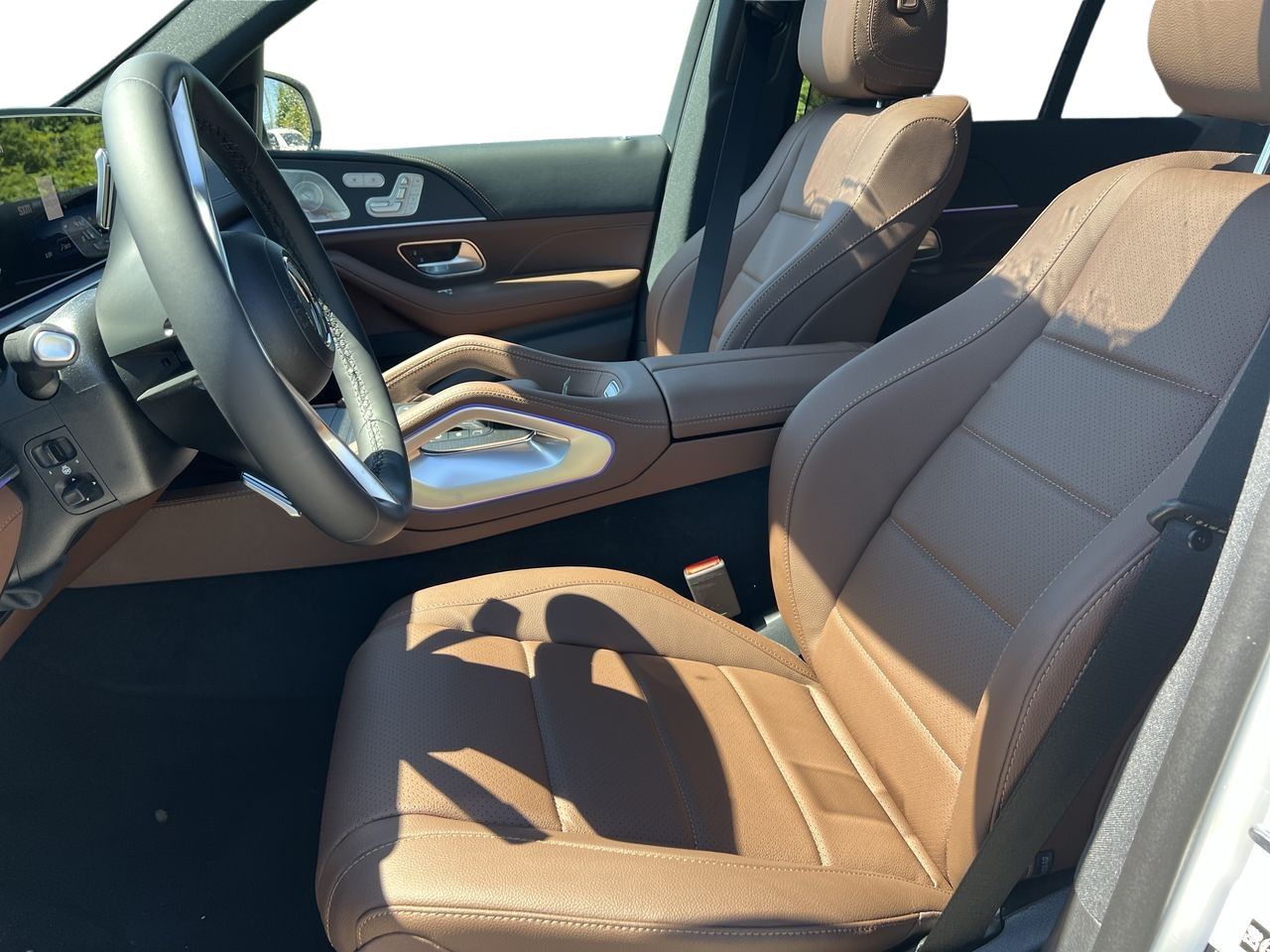 2025 Mercedes-Benz GLE in Langley, British Columbia