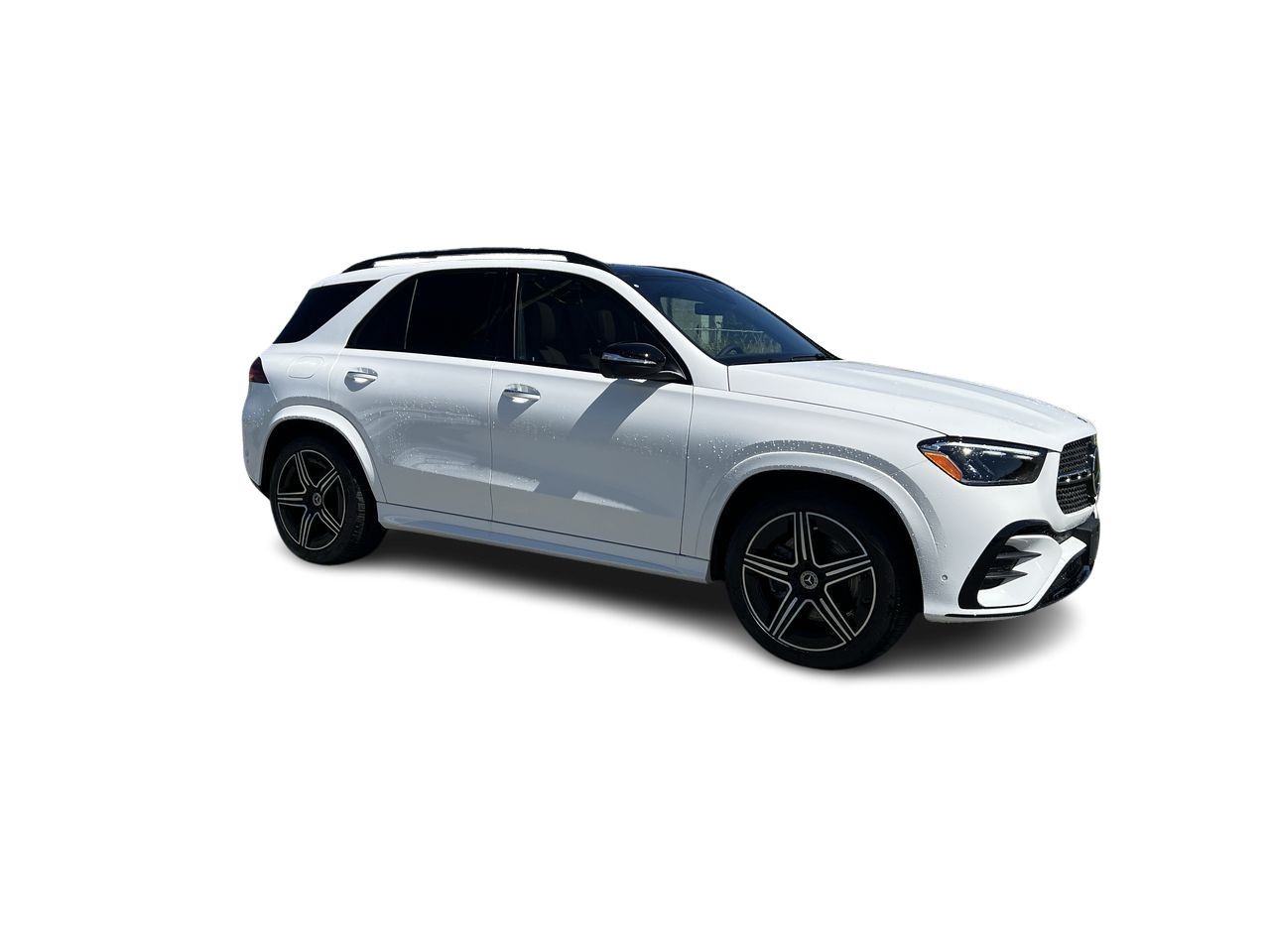 2025 Mercedes-Benz GLE in Langley, British Columbia