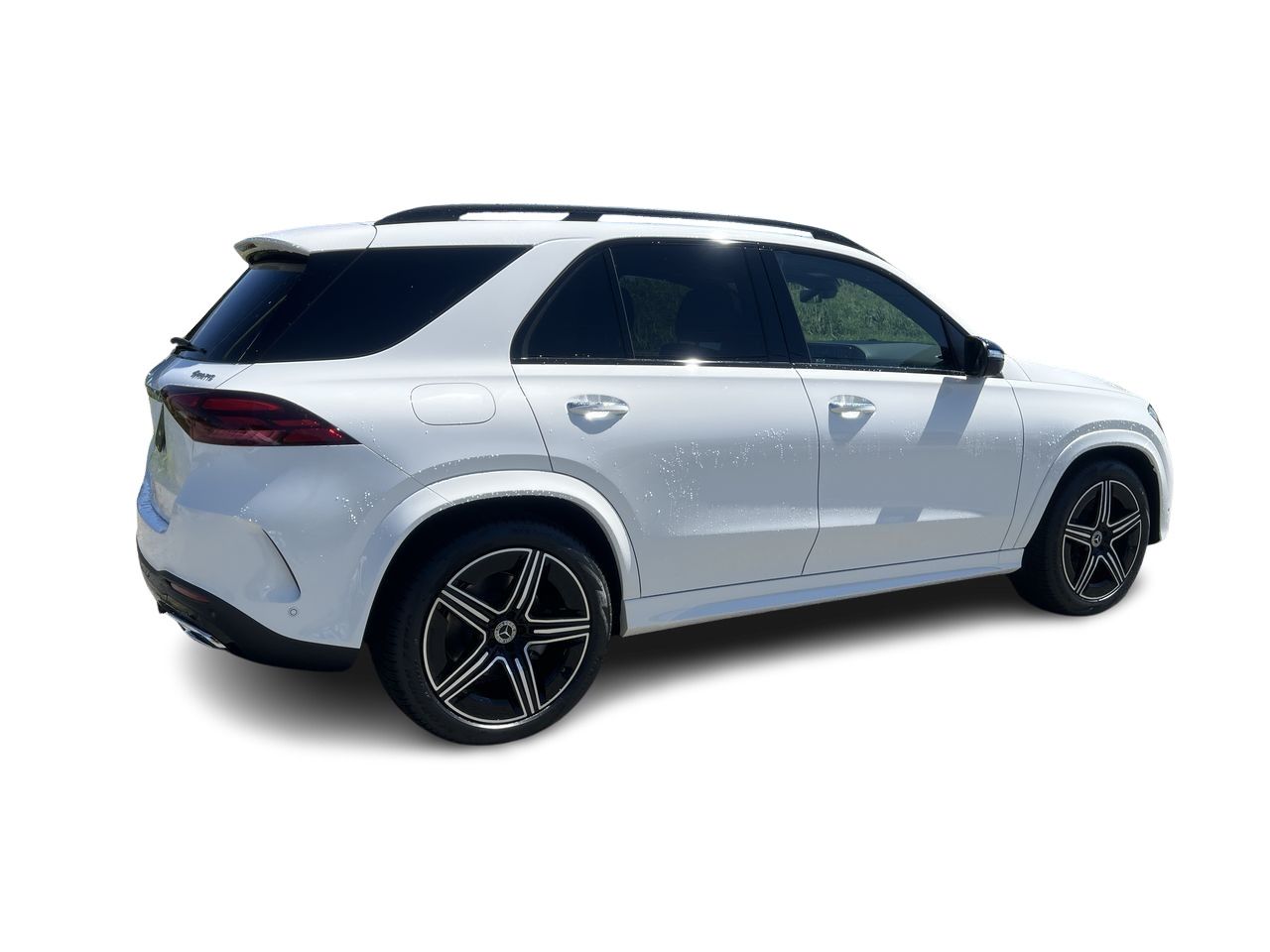2025 Mercedes-Benz GLE in Langley, British Columbia