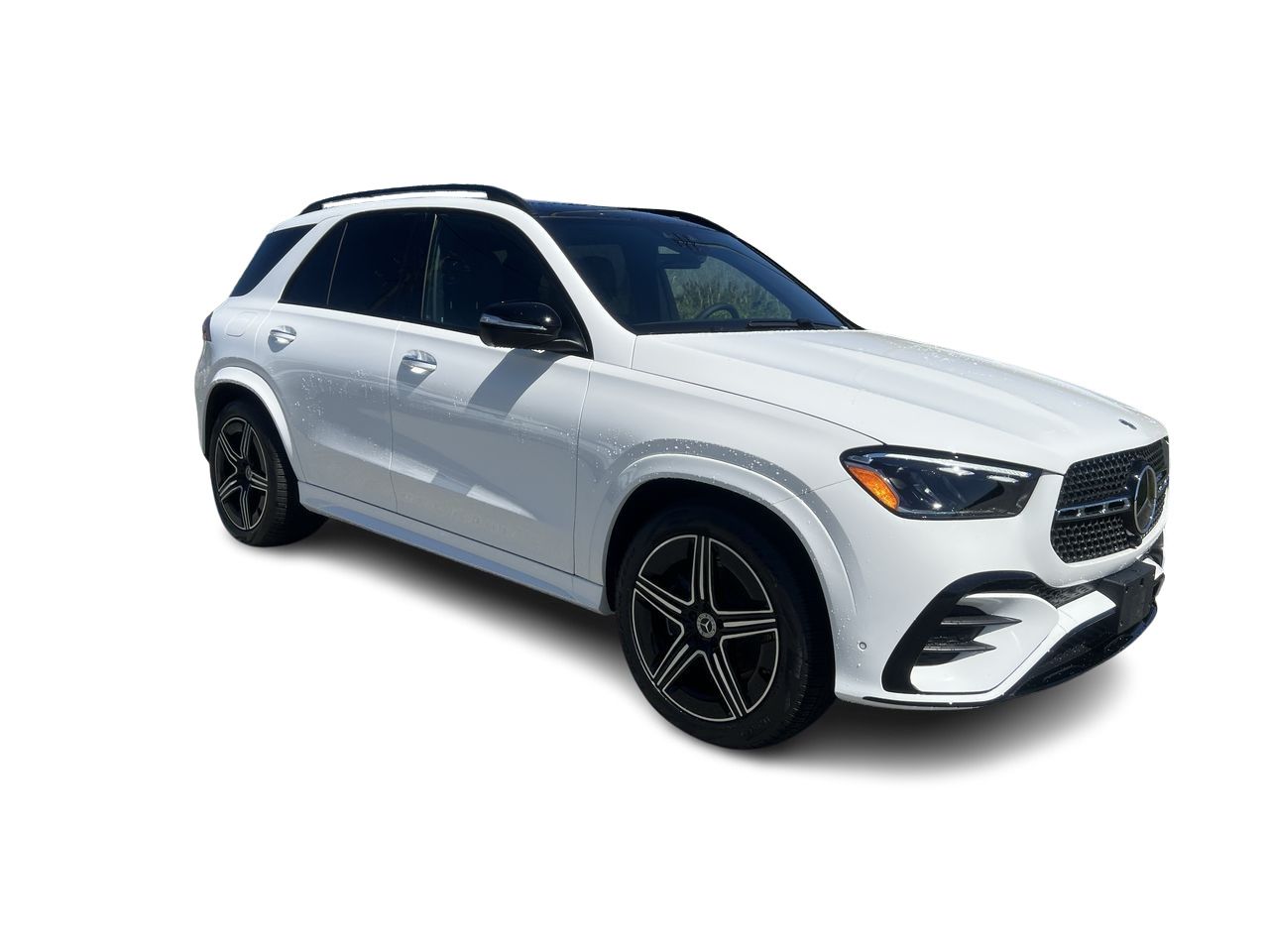 2025 Mercedes-Benz GLE in Langley, British Columbia