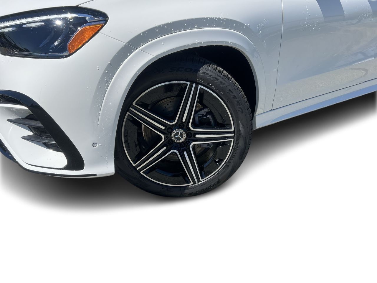 2025 Mercedes-Benz GLE in Langley, British Columbia