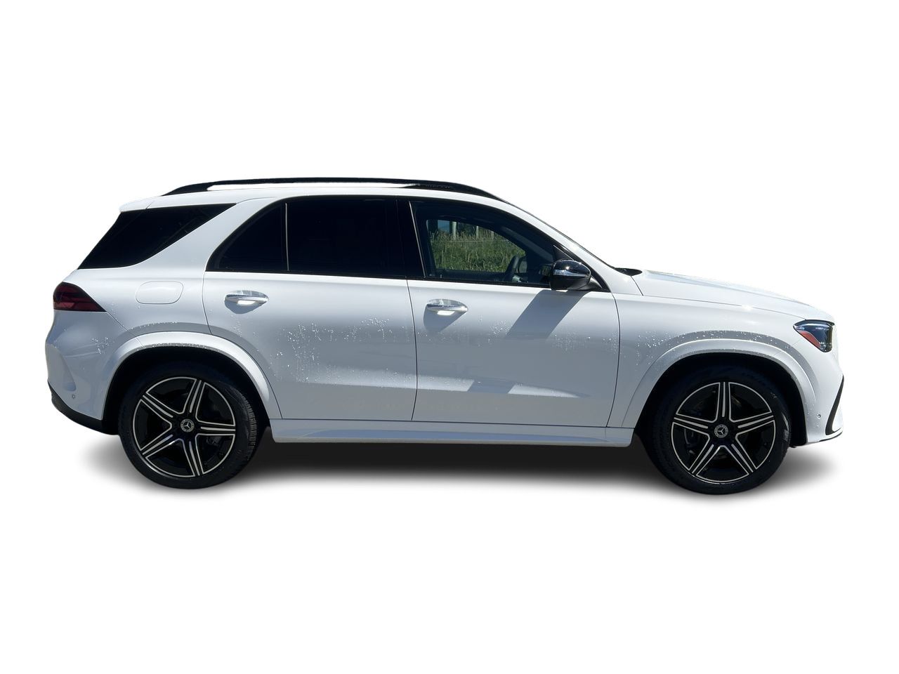 2025 Mercedes-Benz GLE in Langley, British Columbia