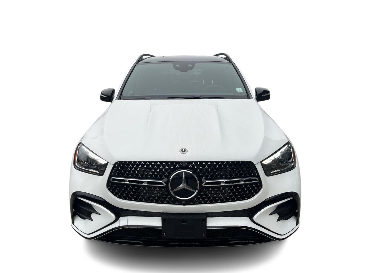 2025 Mercedes-Benz GLE450 in Langley, British Columbia