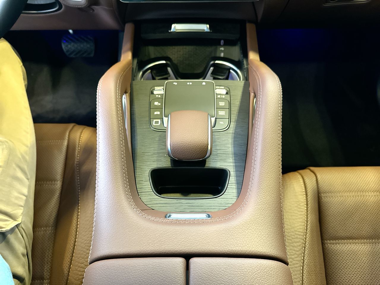 2025 Mercedes-Benz GLE450e in Langley, British Columbia