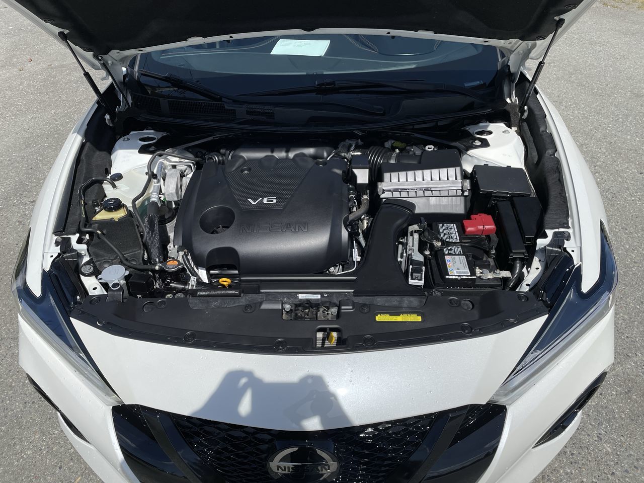 2021  Maxima