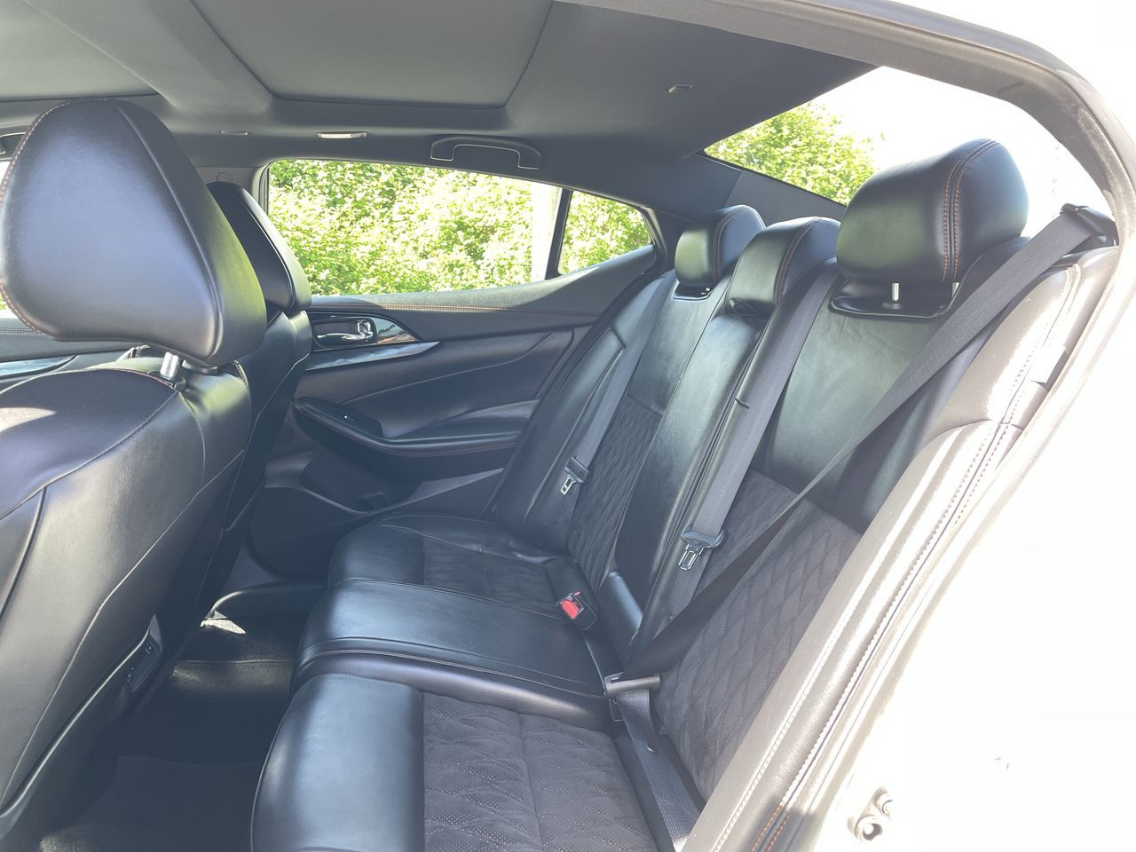 2021  Maxima