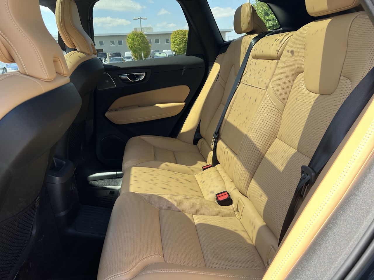 2021 Volvo XC60 in Langley, British Columbia