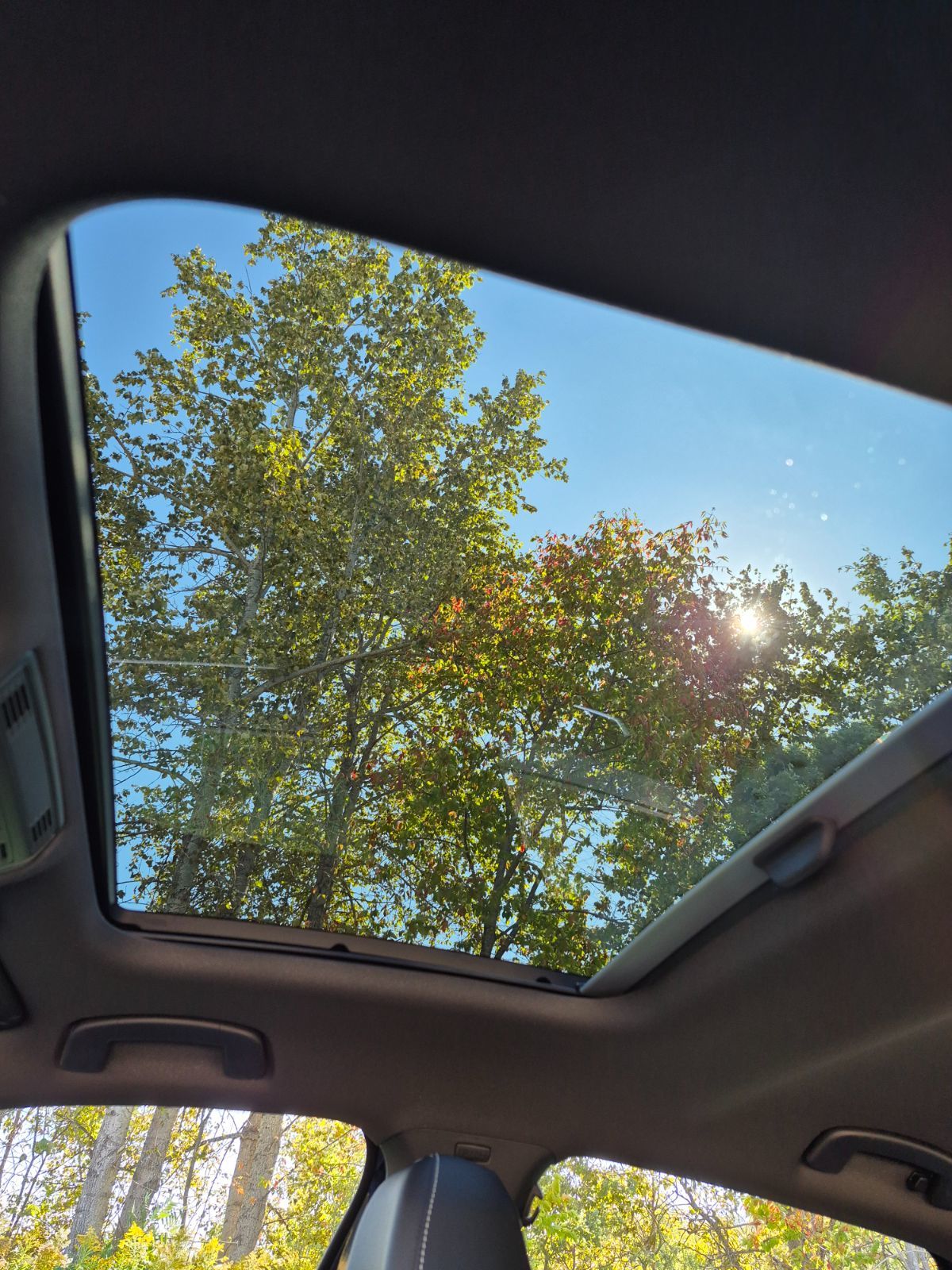 2025 Volkswagen Jetta Comfortline Jetta 2025 Sport — Built to Move You