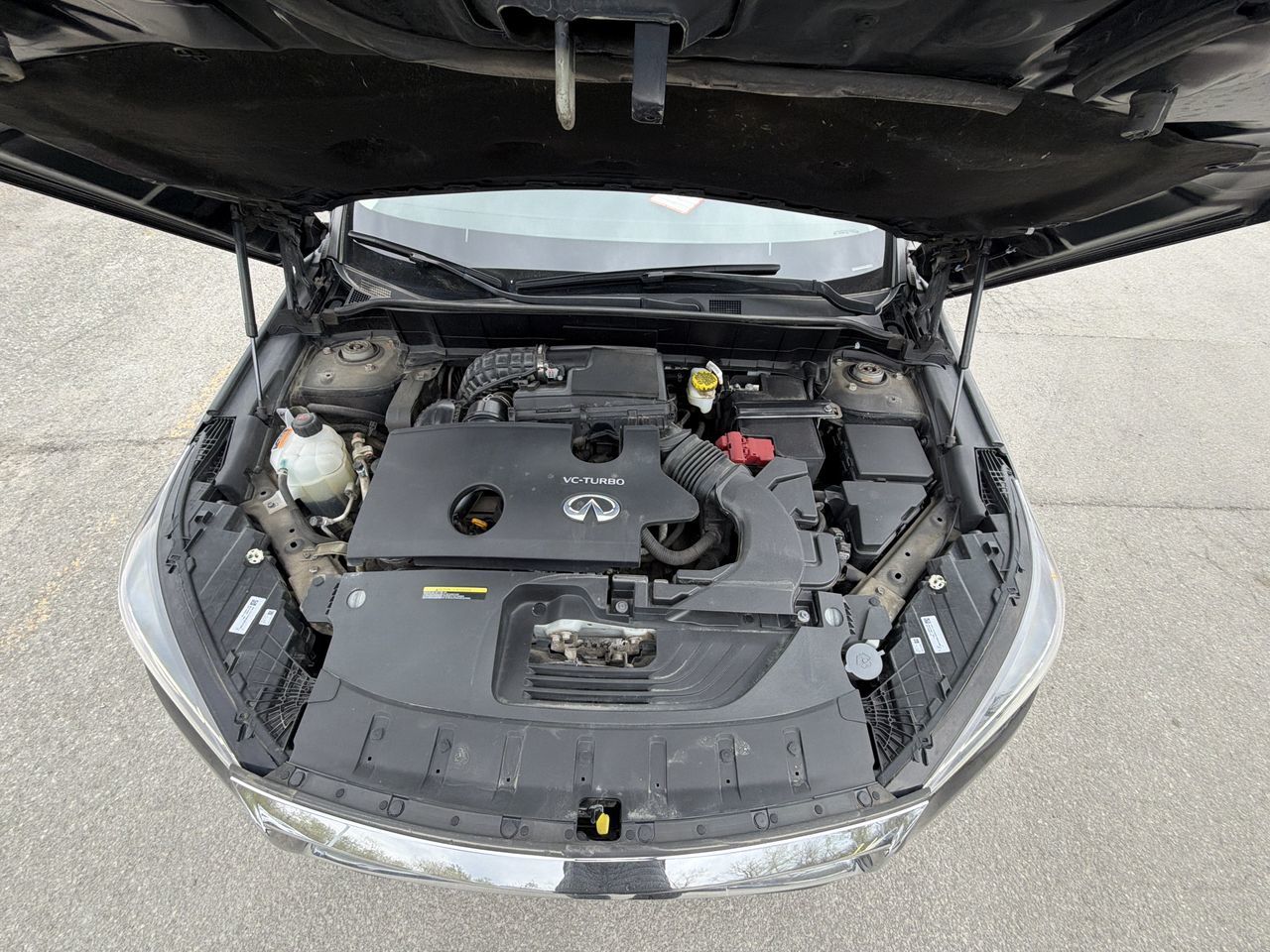 Infiniti QX50  2024