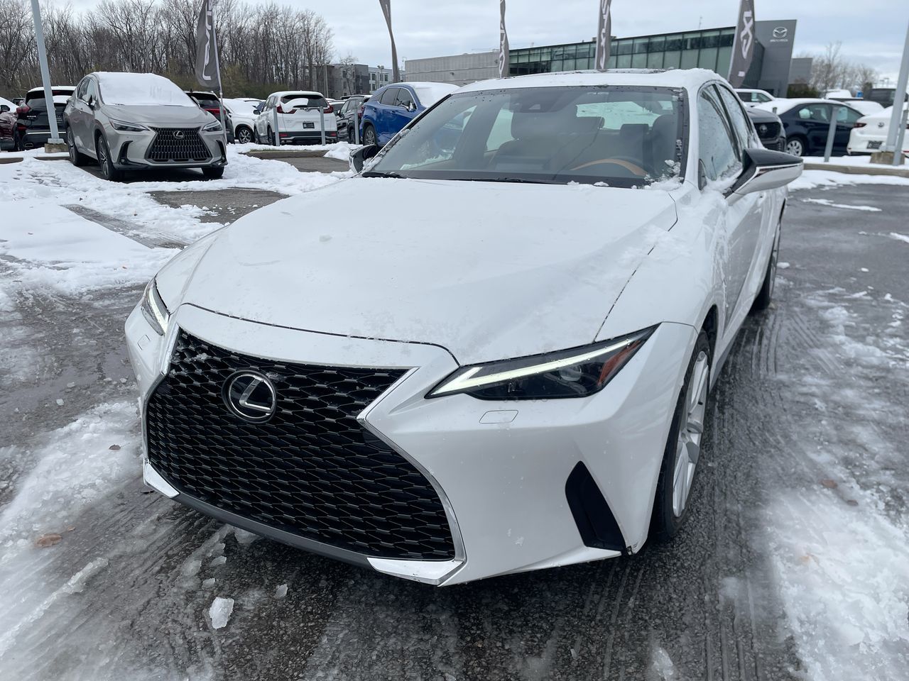 Lexus IS 300  2023