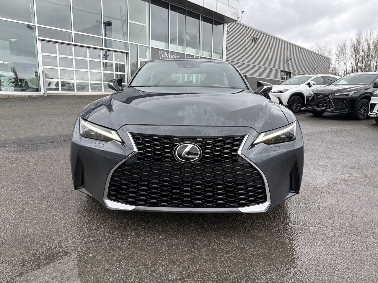 Lexus IS 300  2024