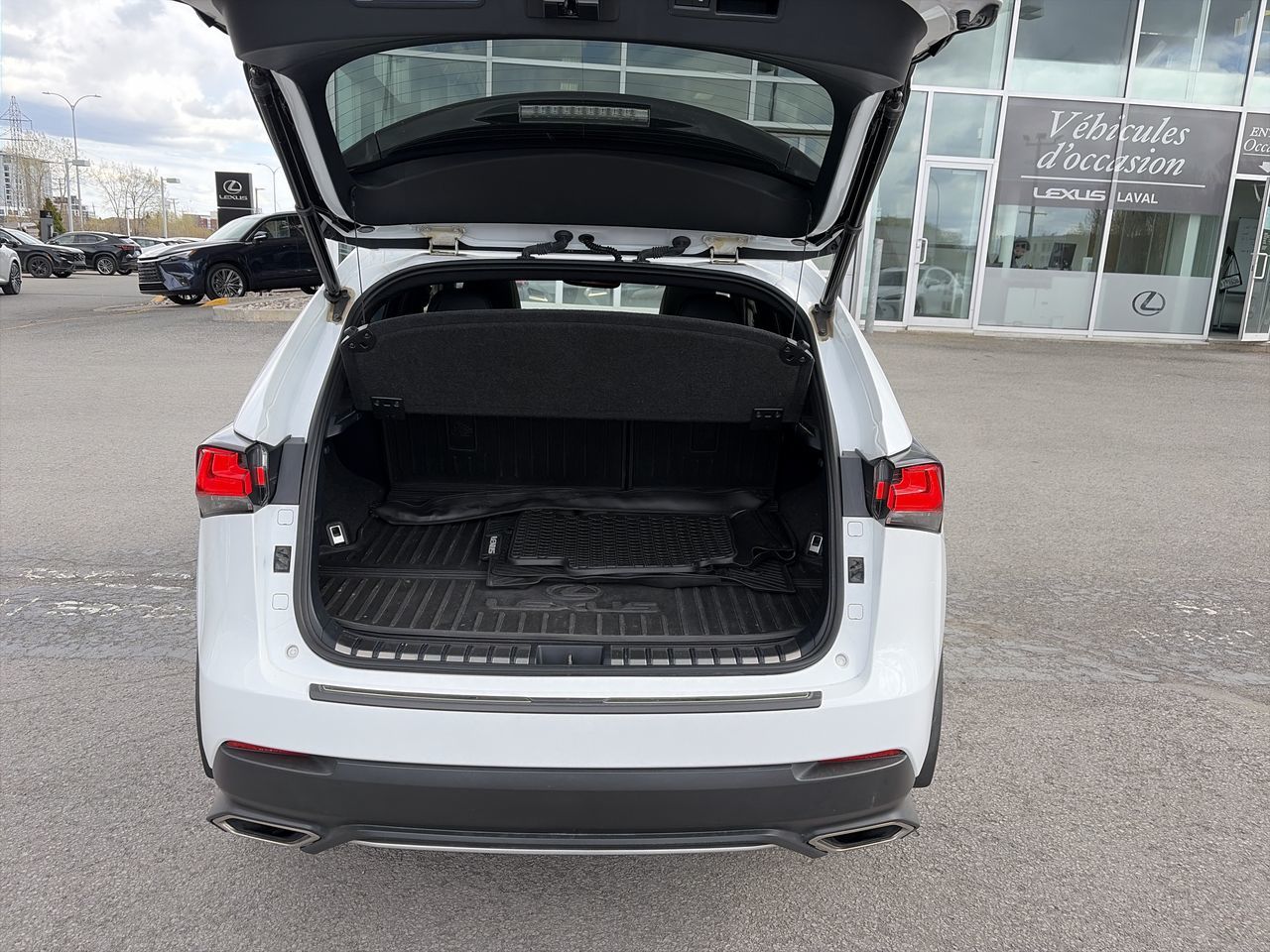 Lexus NX 300  2019