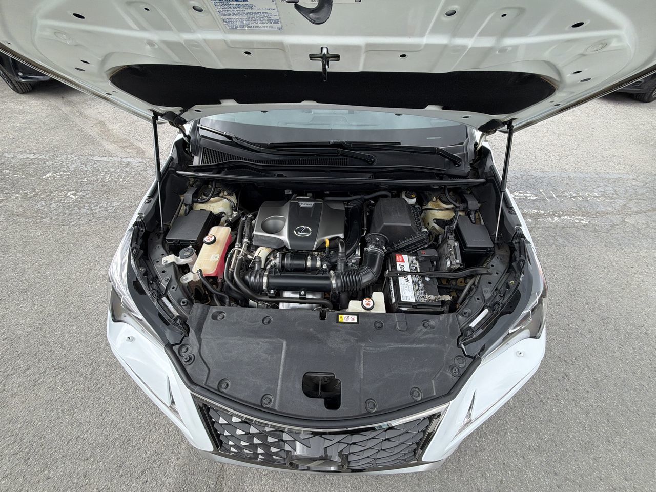 Lexus NX 300  2019