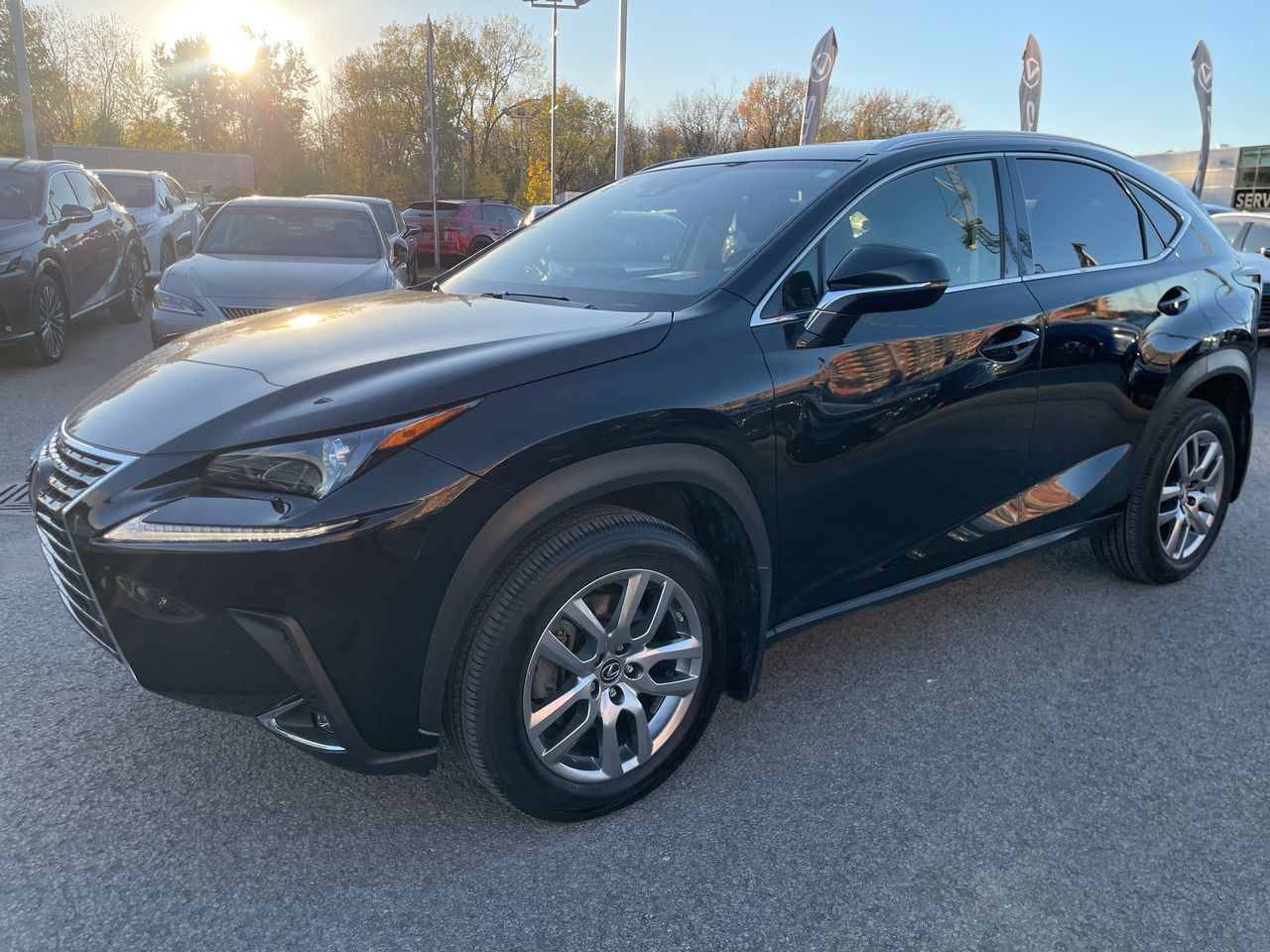 Lexus NX 300  2020