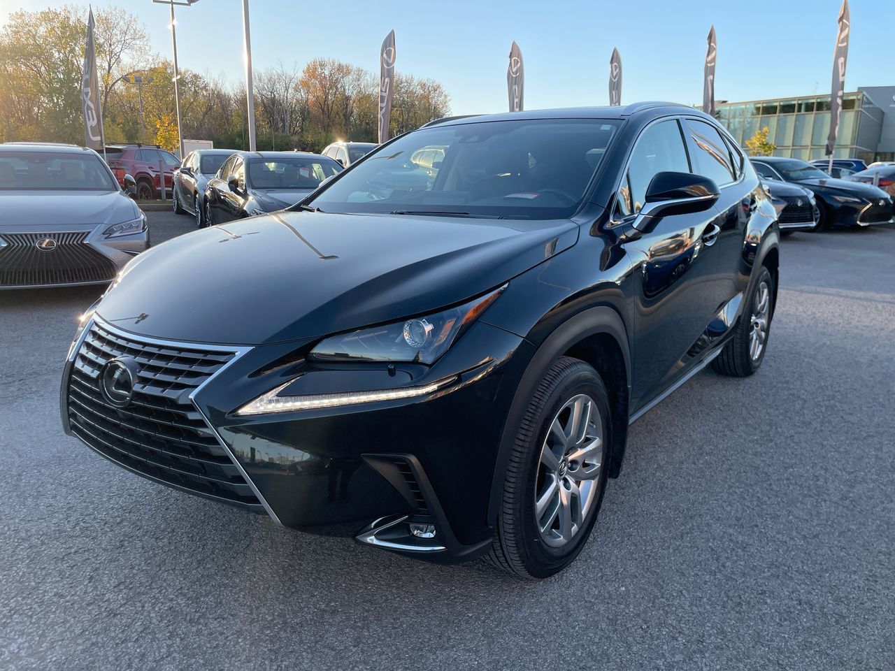 Lexus NX 300  2020