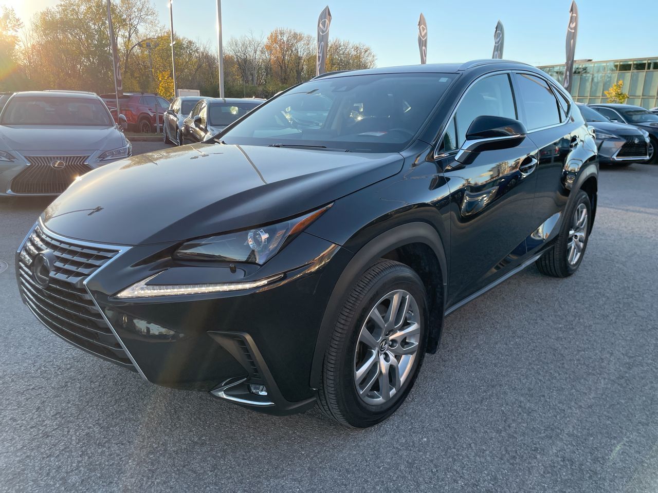 Lexus NX 300  2020