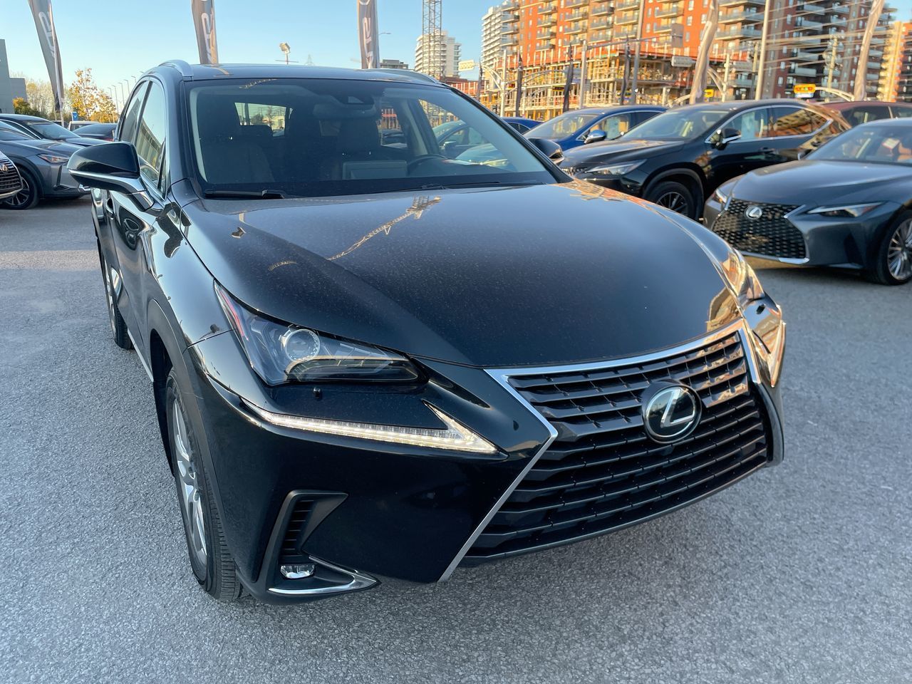 Lexus NX 300  2020
