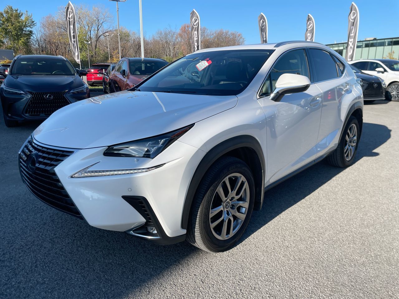 Lexus NX 300  2020
