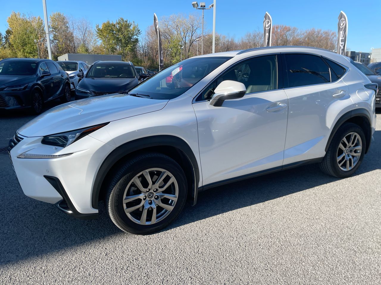 Lexus NX 300  2020
