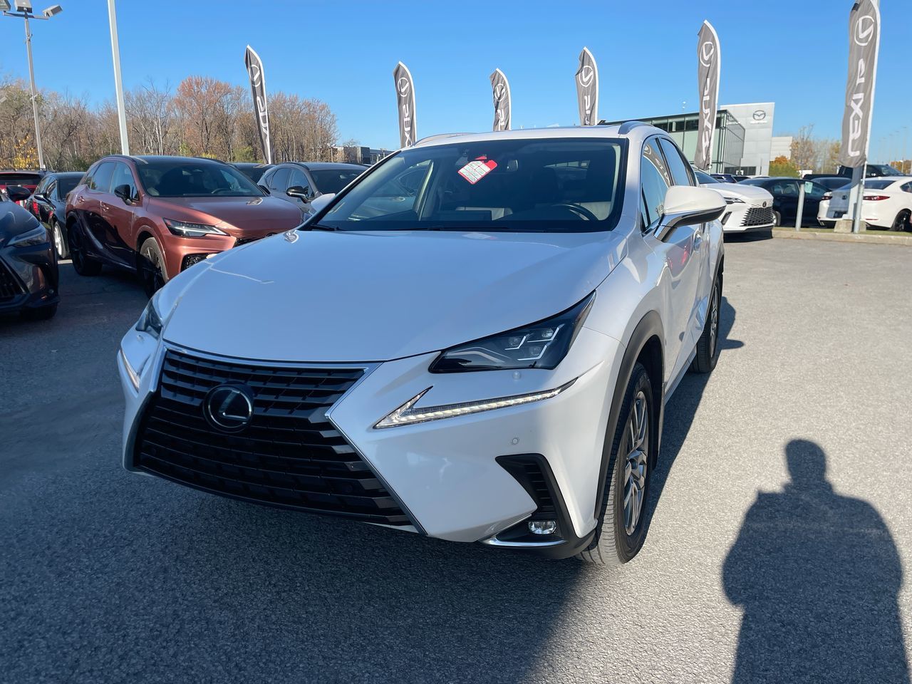 Lexus NX 300  2020