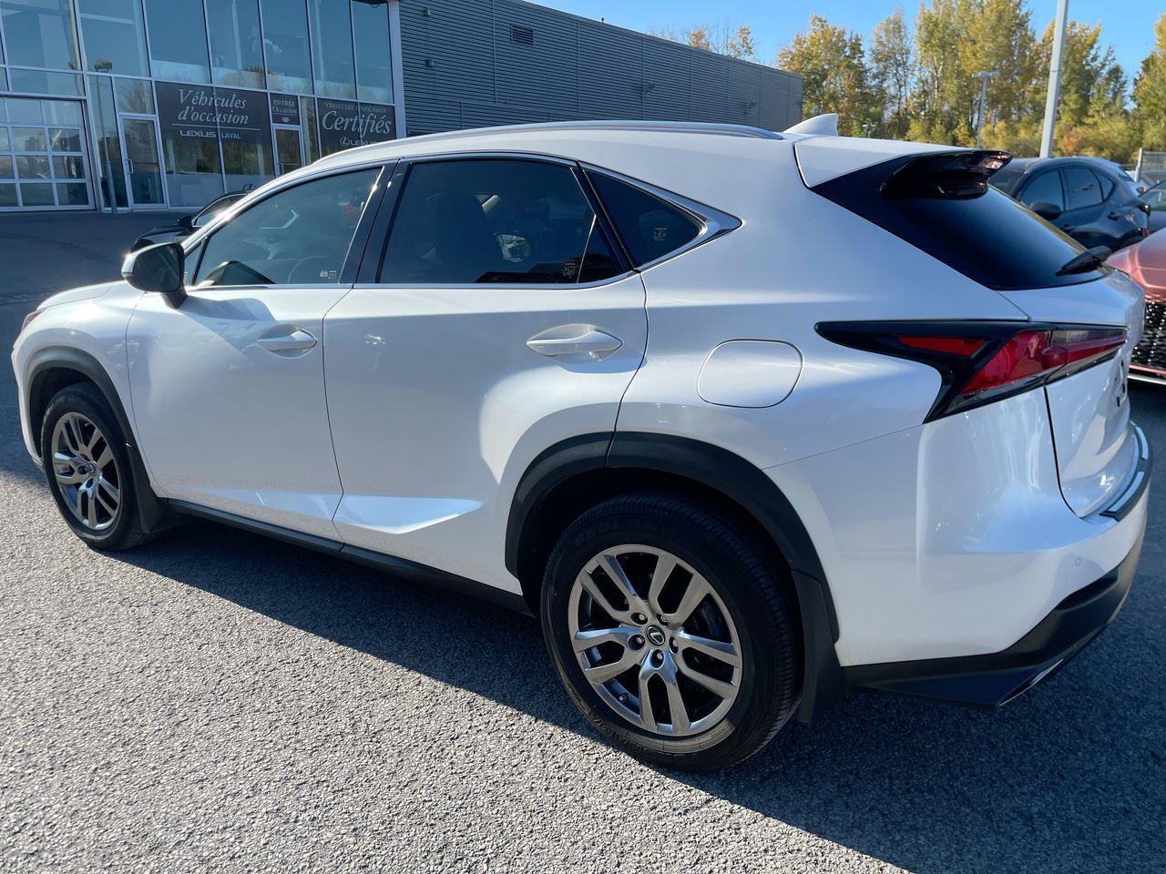 Lexus NX 300  2020