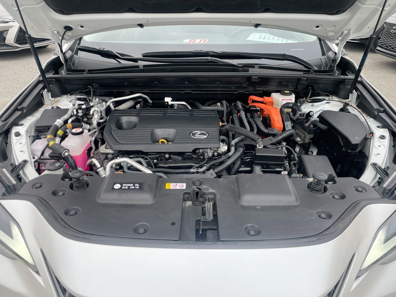 Lexus NX 450h+  2023