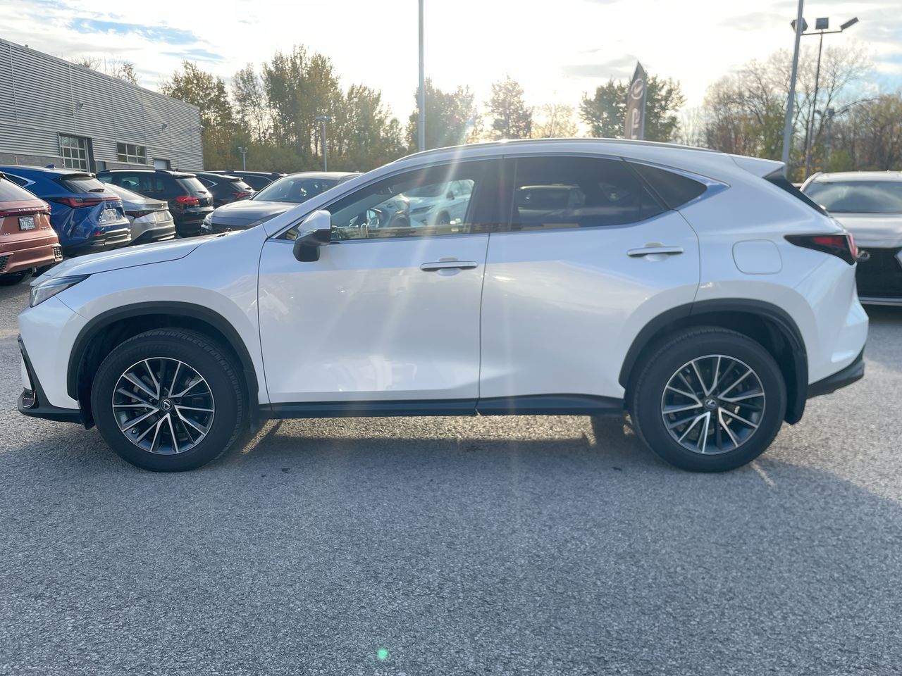 Lexus NX 450h+  2023