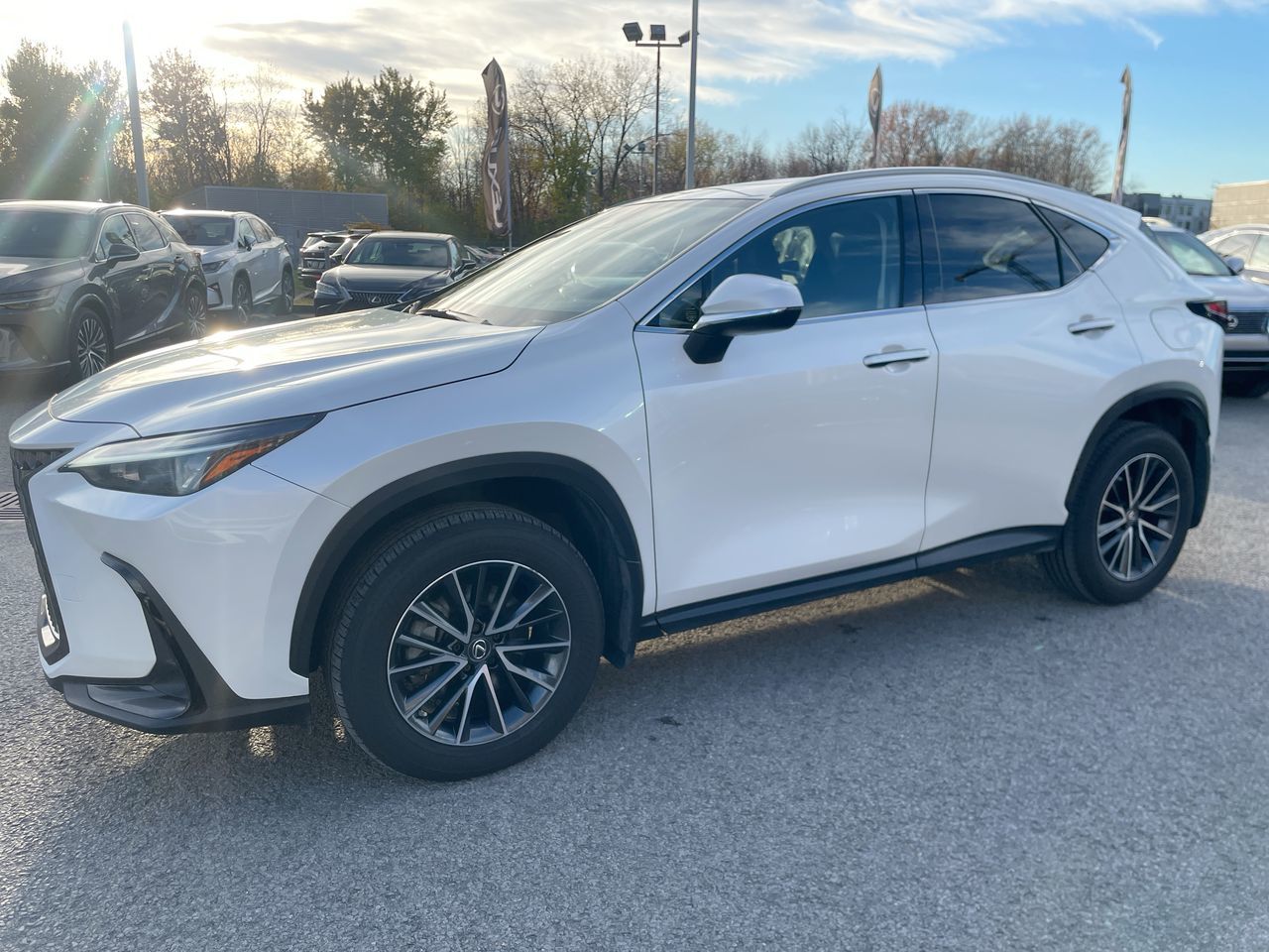 Lexus NX 450h+  2023
