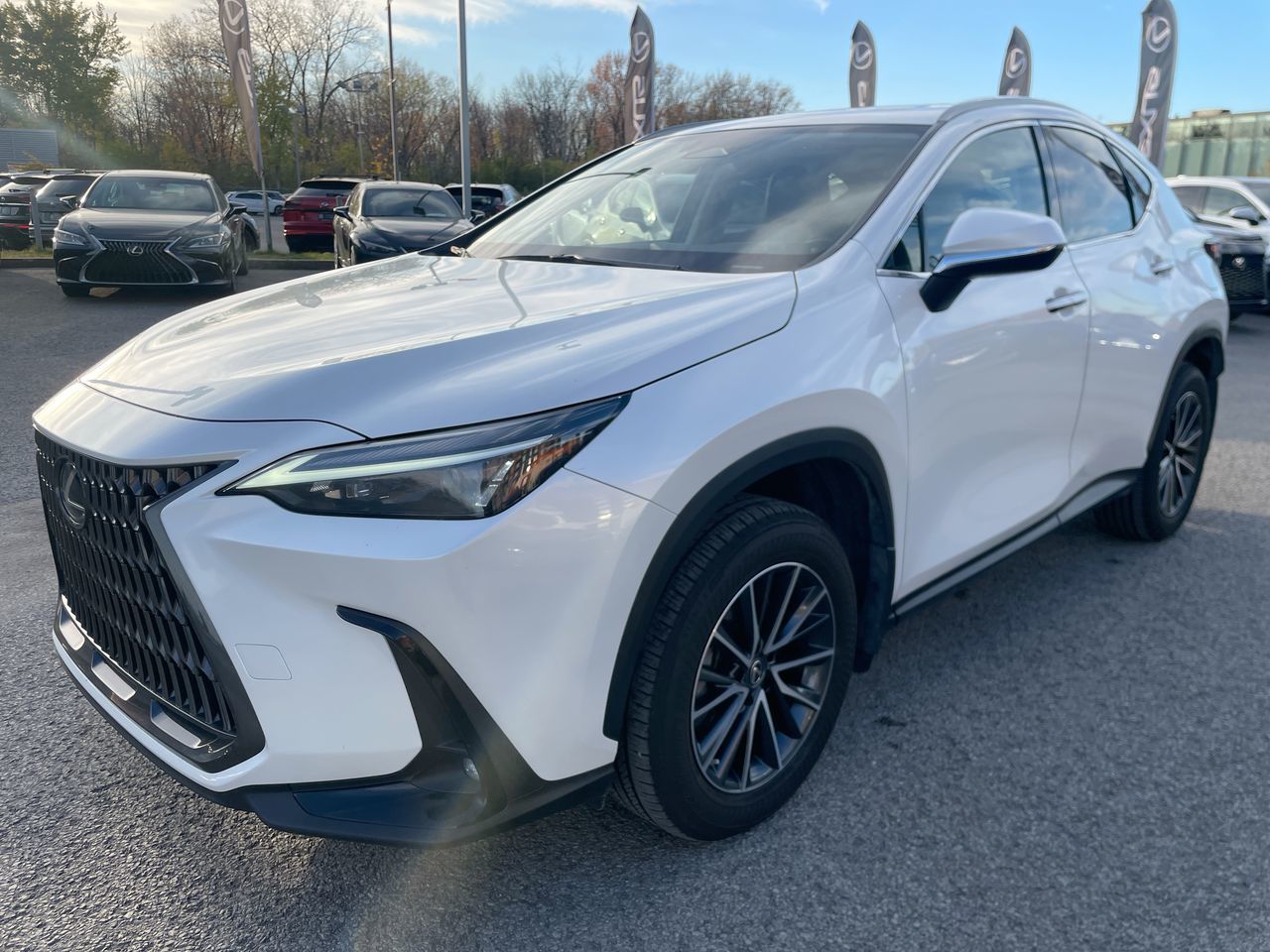 Lexus NX 450h+  2023