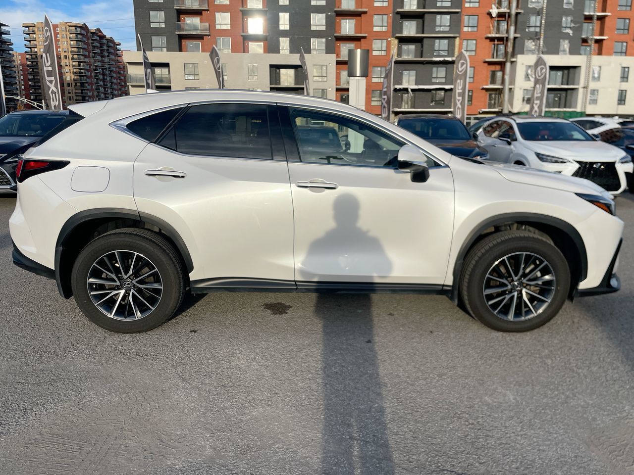 Lexus NX 450h+  2023