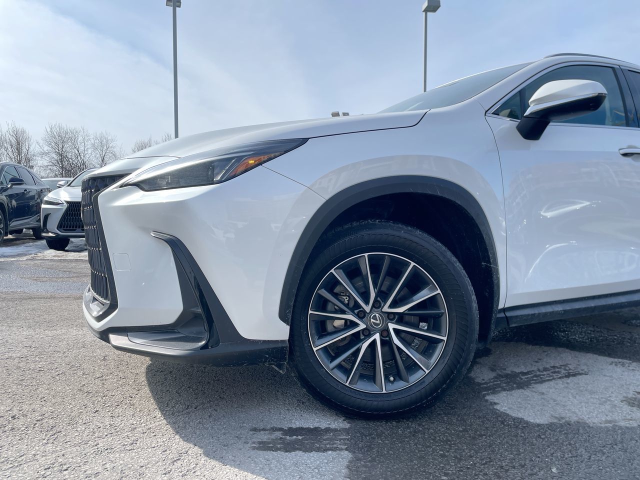 Lexus NX 450h+  2023