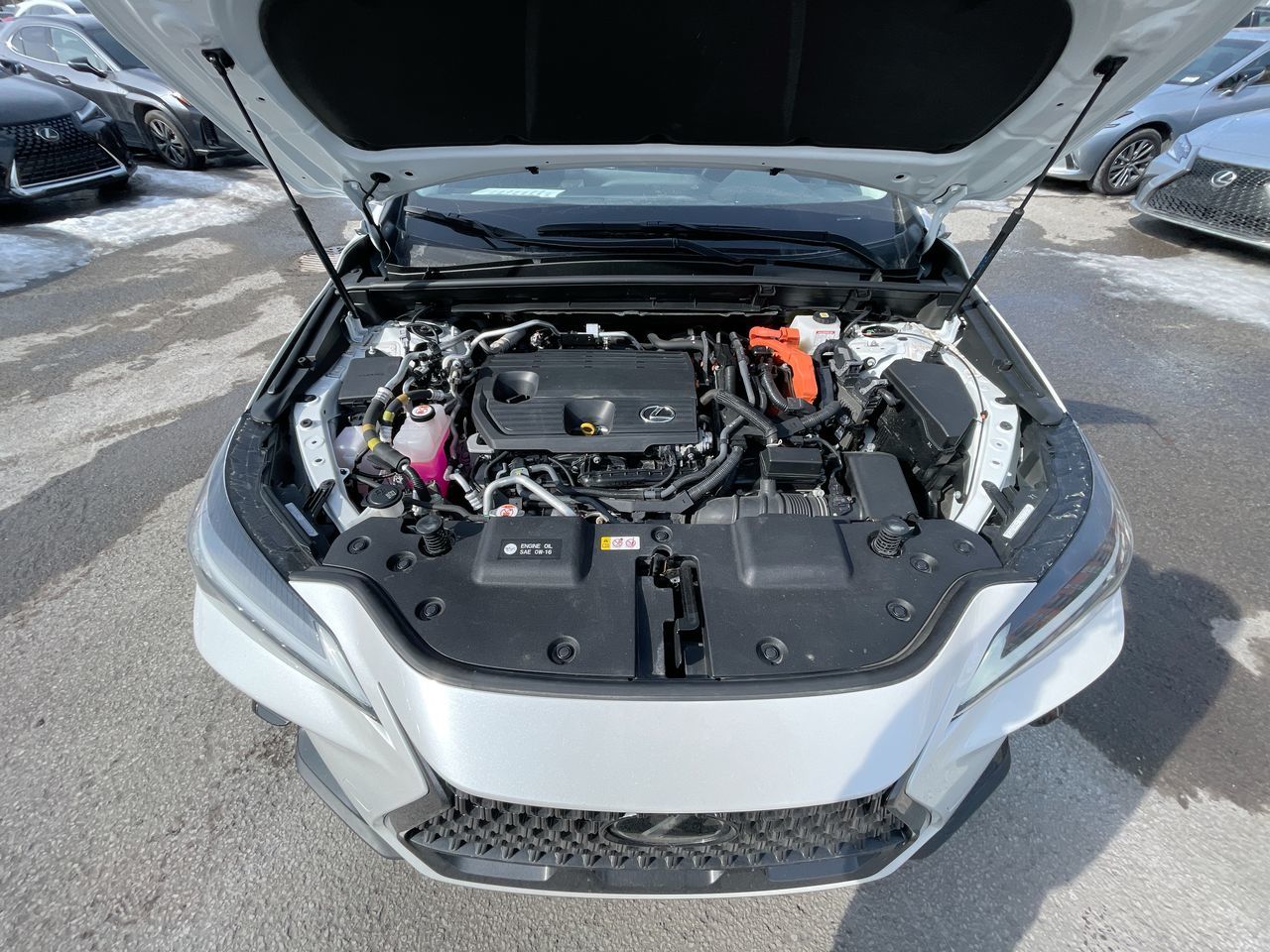 Lexus NX 450h+  2023