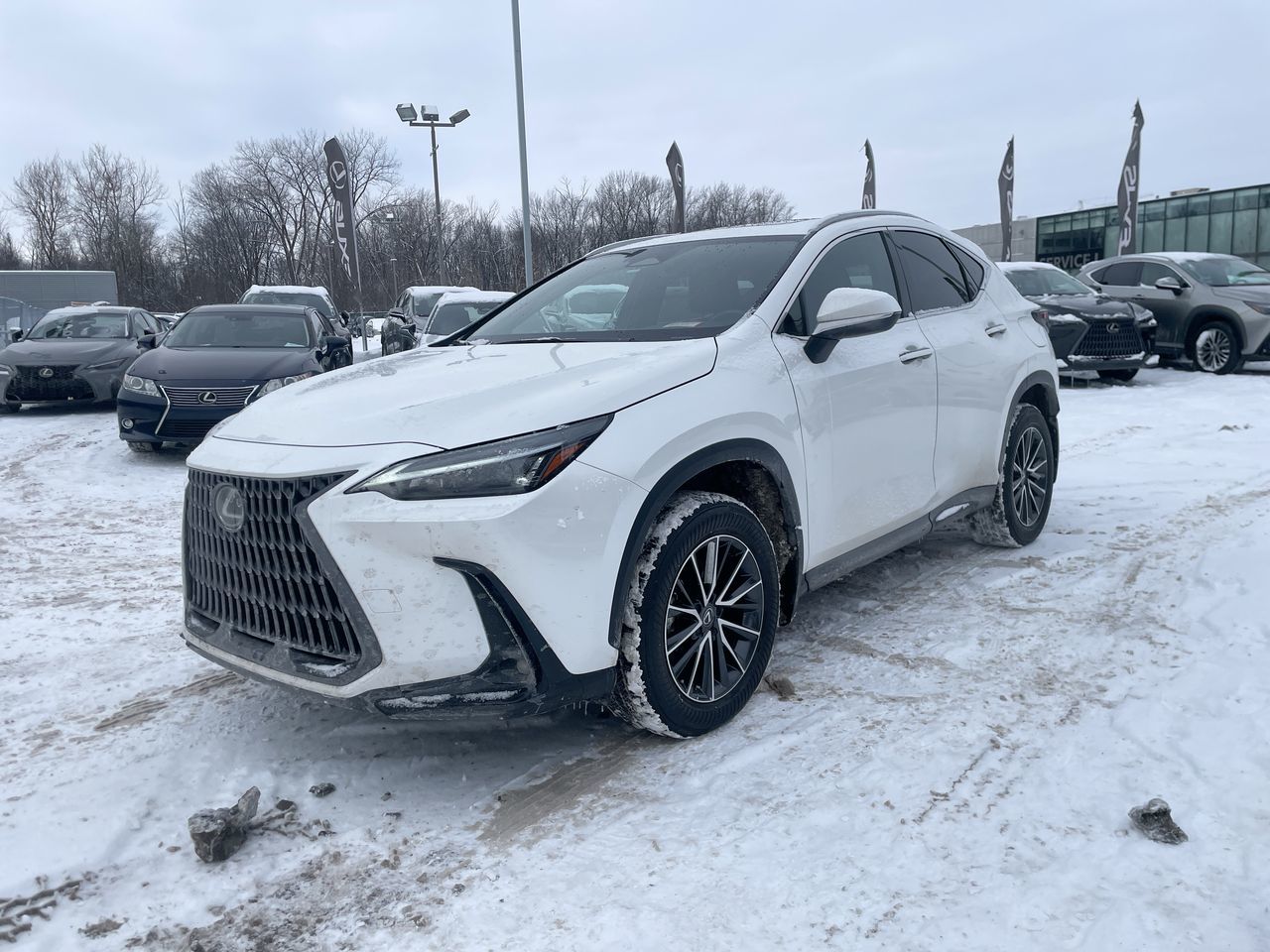Lexus NX 450h+  2025