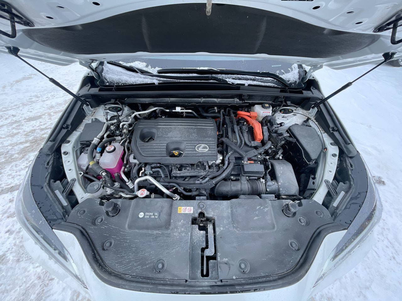 Lexus NX 450h+  2025