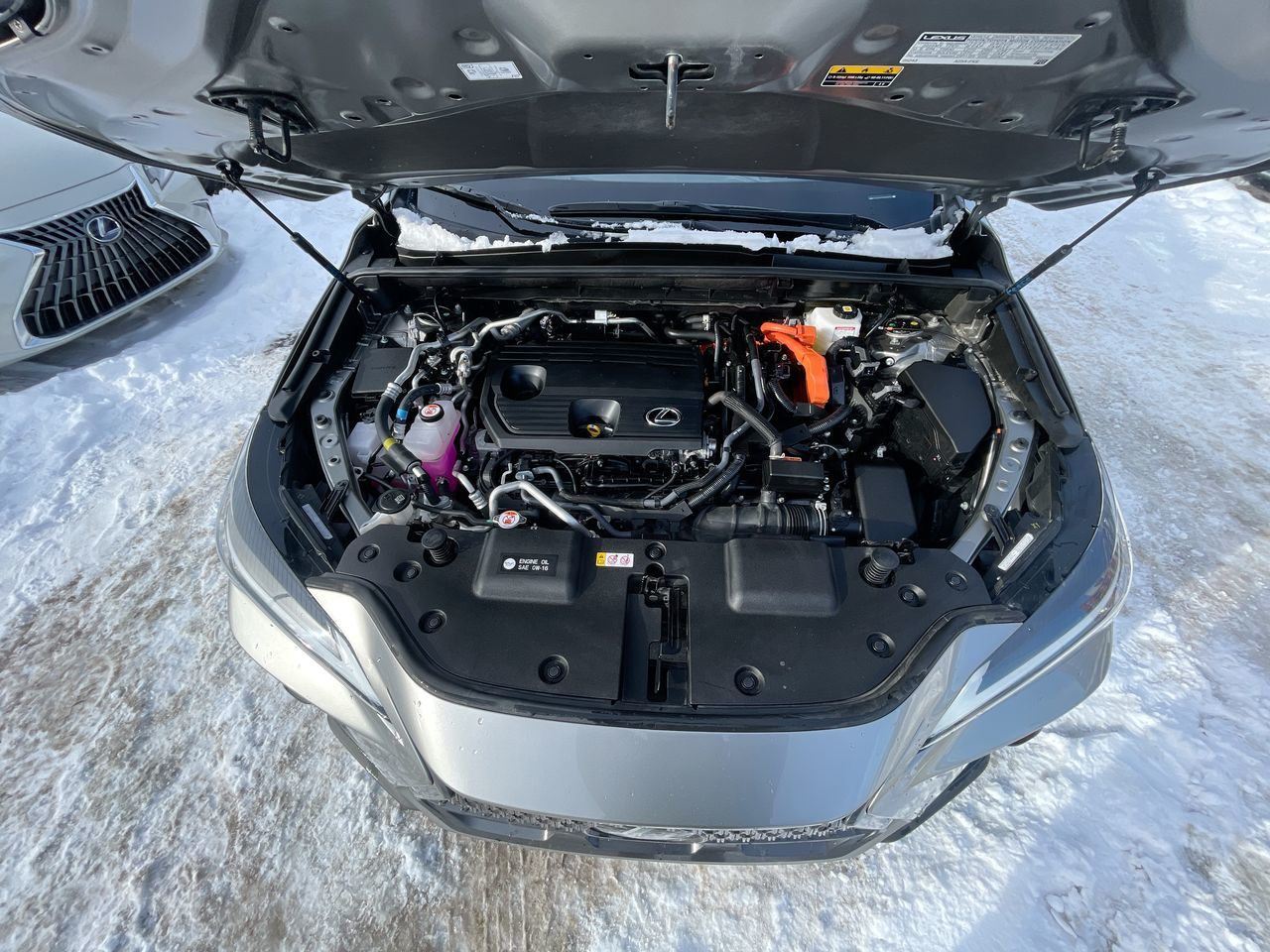 Lexus NX 450h+  2025